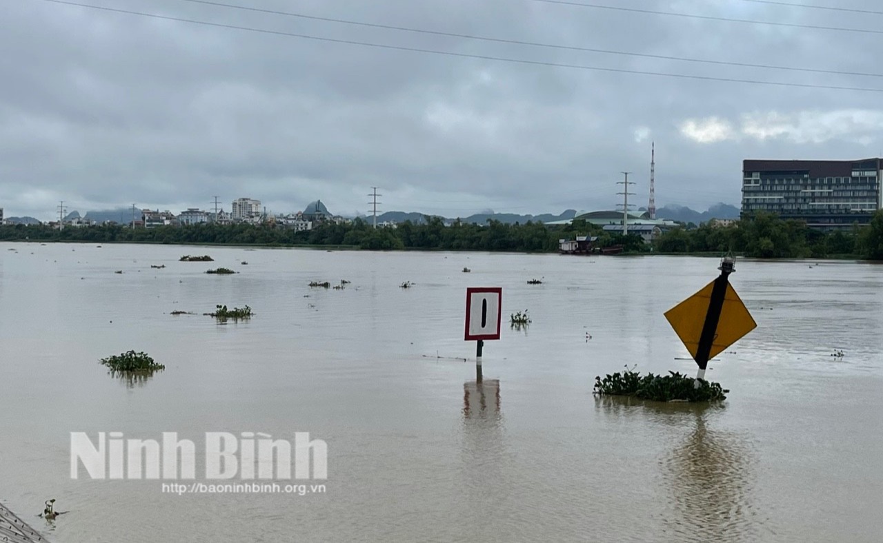 ninh binh muc nuoc song hoang long va song day tren muc bao dong 3 hinh 1