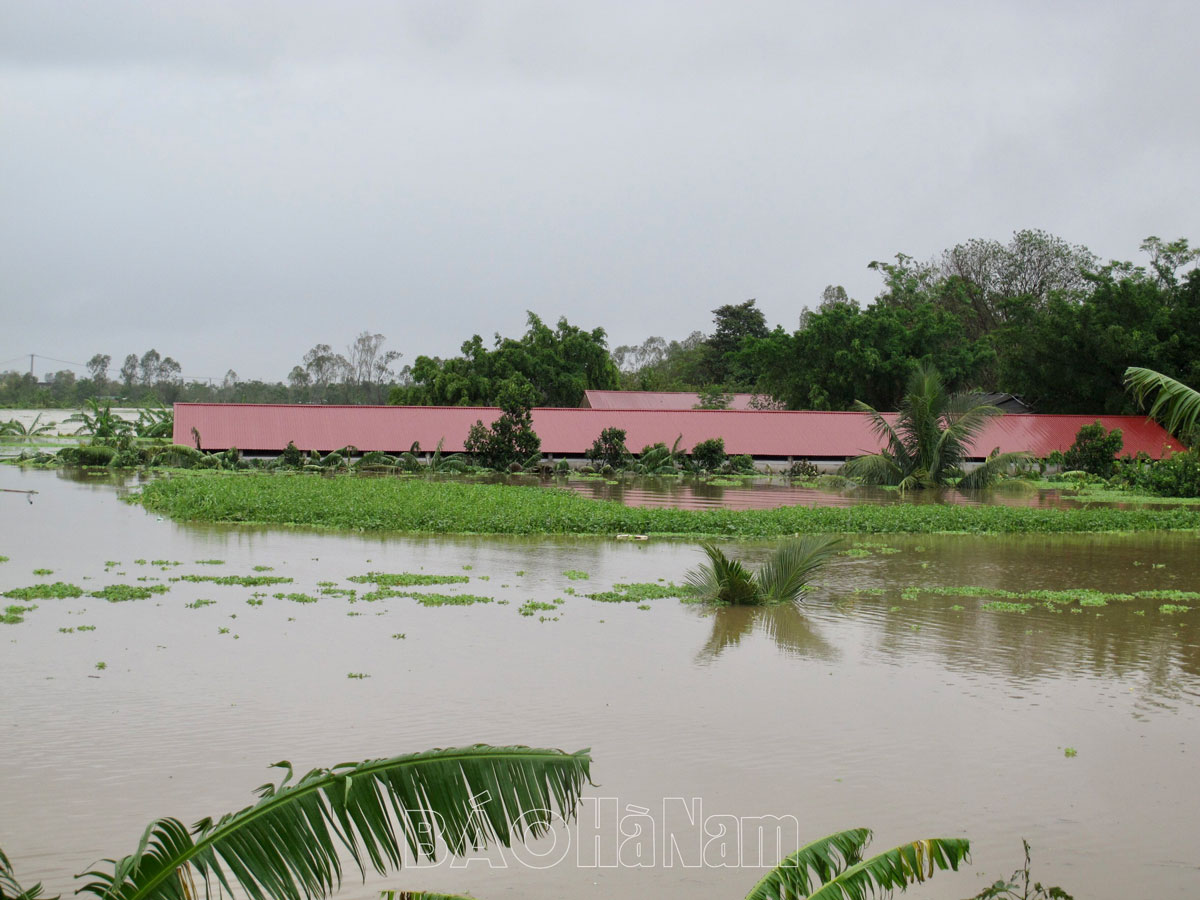 ha nam tiep tuc bam sat tinh hinh mua lu thuc hien tot cac giai phap di doi dan den vung an toan hinh 2