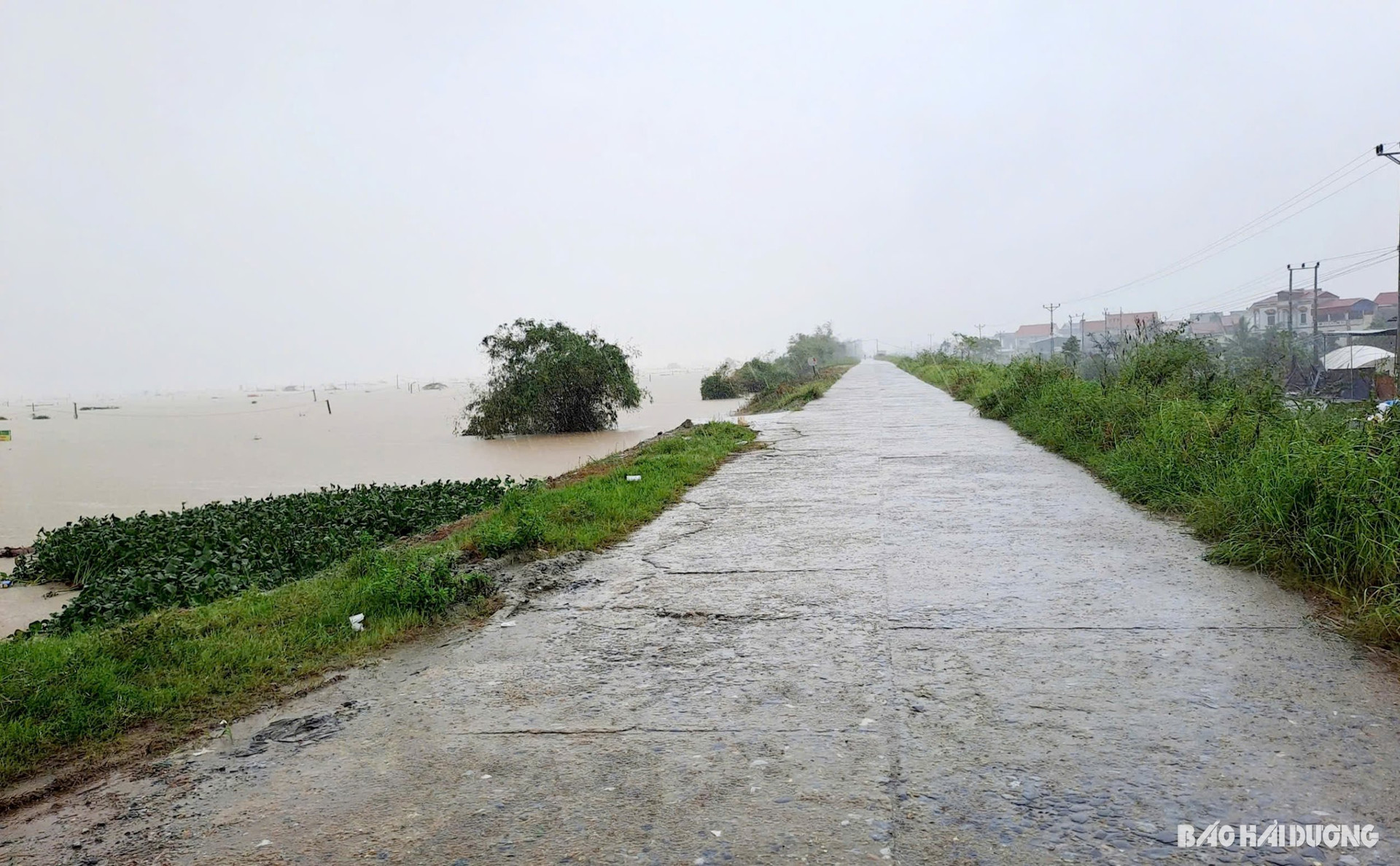 hai duong phat cong dien tap trung ung pho lu lon bao dam an toan de dieu hinh 1