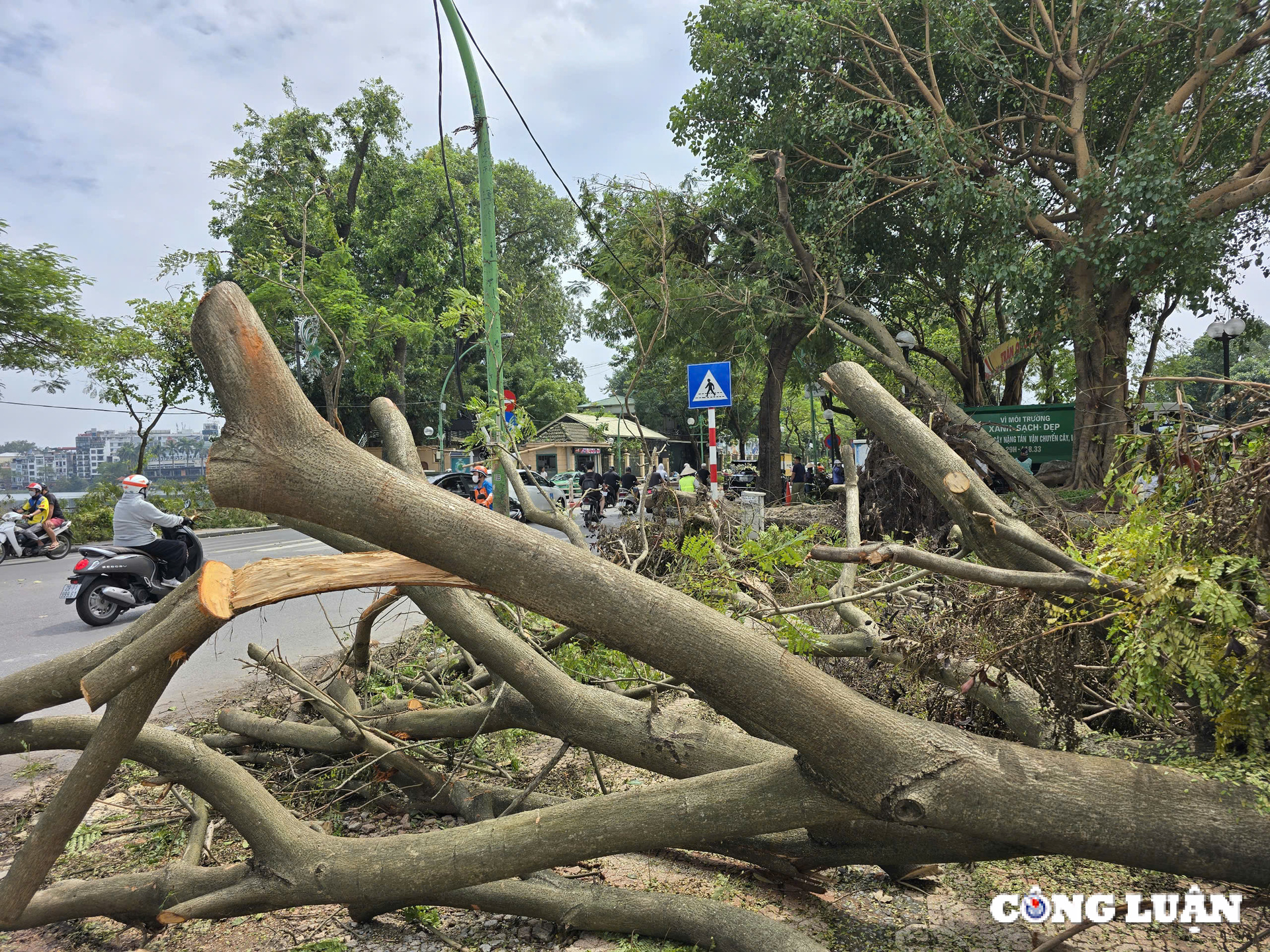 gan 1 tuan sau bao yagi ha noi van ngon ngang cay do tai nhieu tuyen pho hinh 2