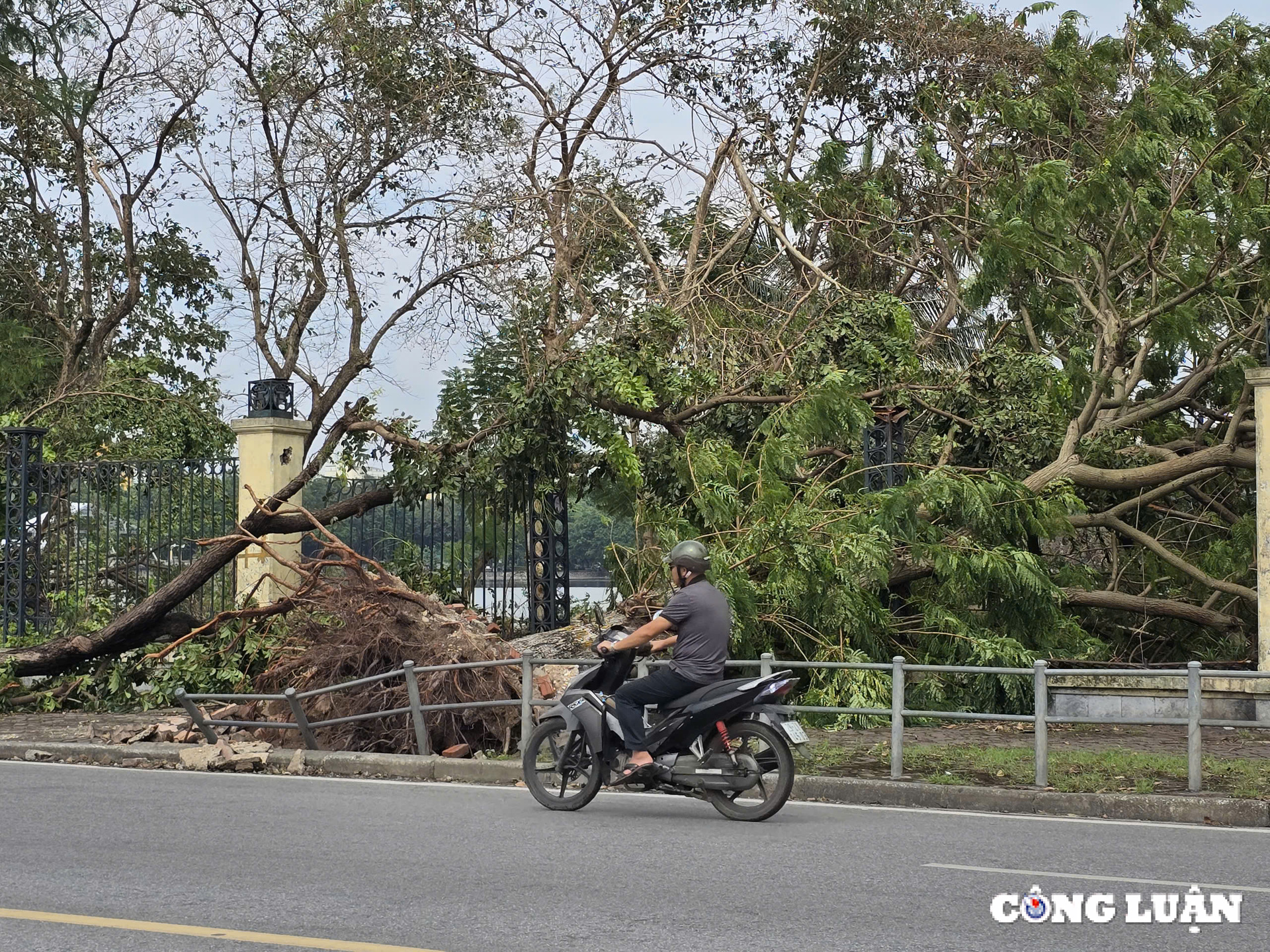 gan 1 tuan sau bao yagi ha noi van ngon ngang cay do tai nhieu tuyen pho hinh 6