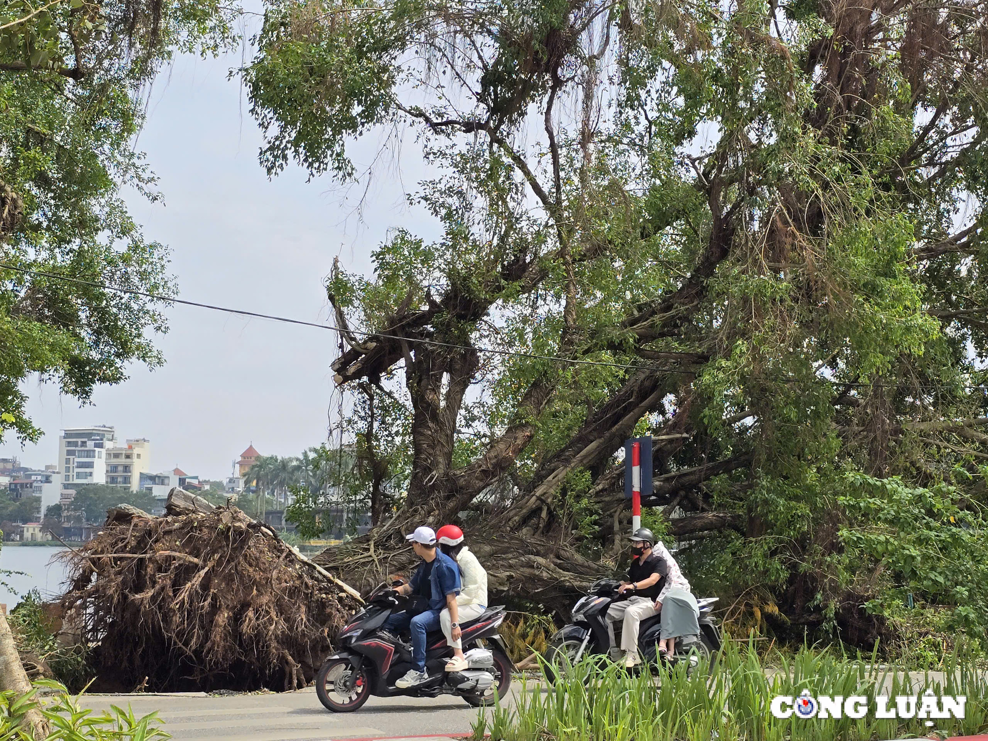 gan 1 tuan sau bao yagi ha noi van ngon ngang cay do tai nhieu tuyen pho hinh 1