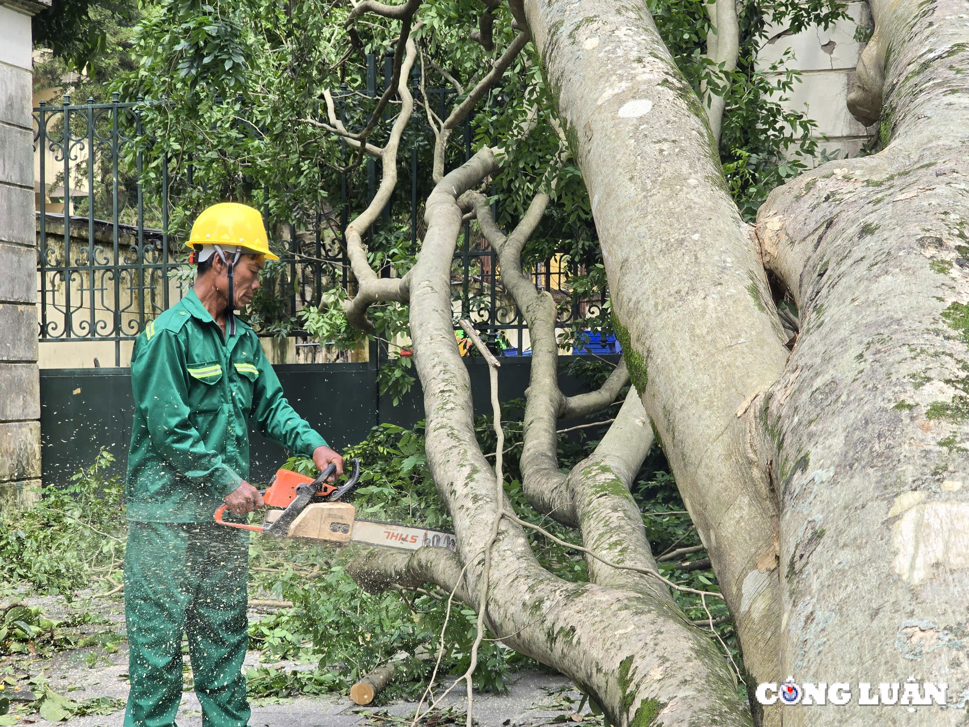 gan 1 tuan sau bao yagi ha noi van ngon ngang cay do tai nhieu tuyen pho hinh 7