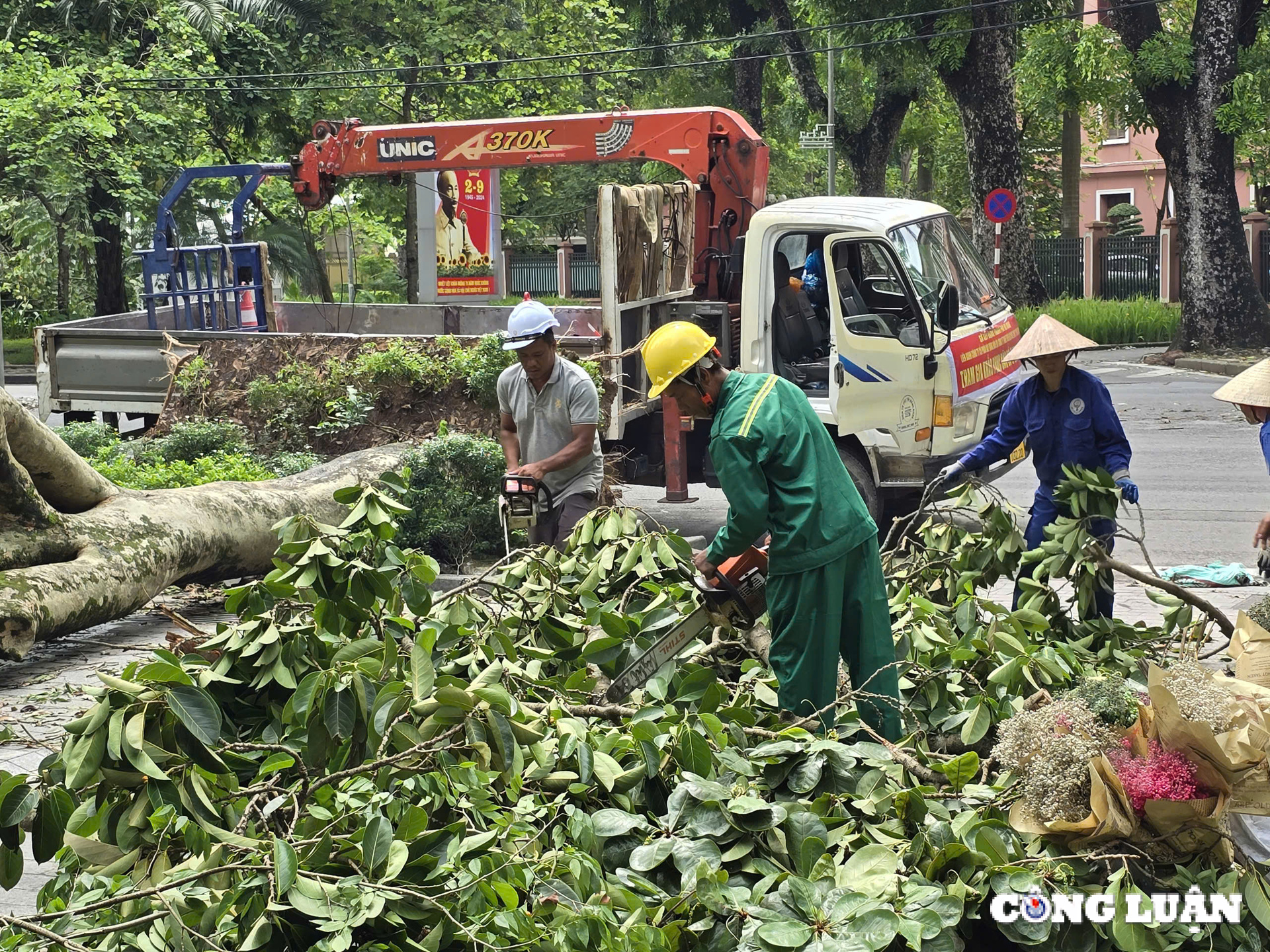 gan 1 tuan sau bao yagi ha noi van ngon ngang cay do tai nhieu tuyen pho hinh 8