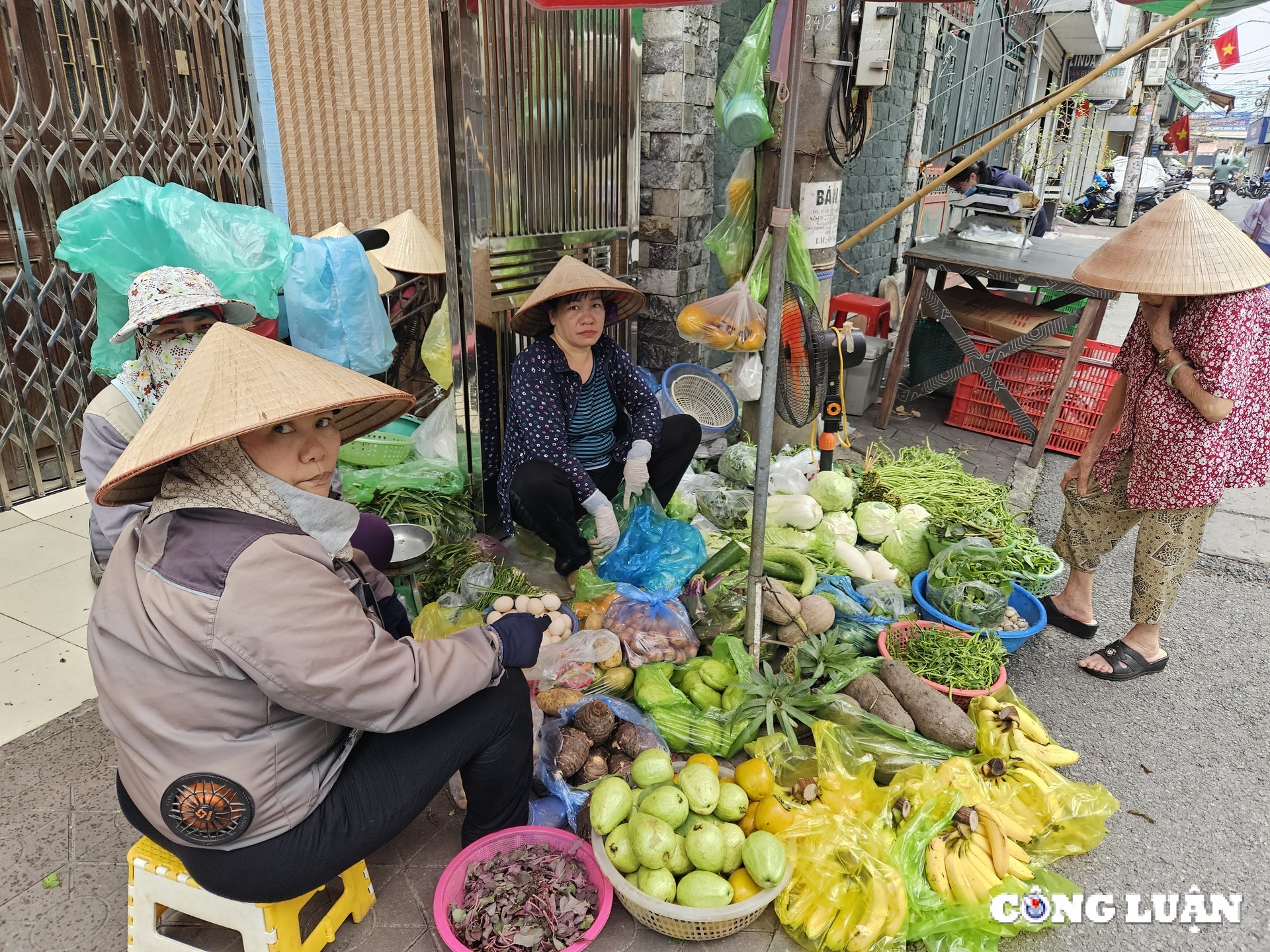 hai phong chi dao xu ly nghiem viec gam hang tang gia sau bao so 3 hinh 1