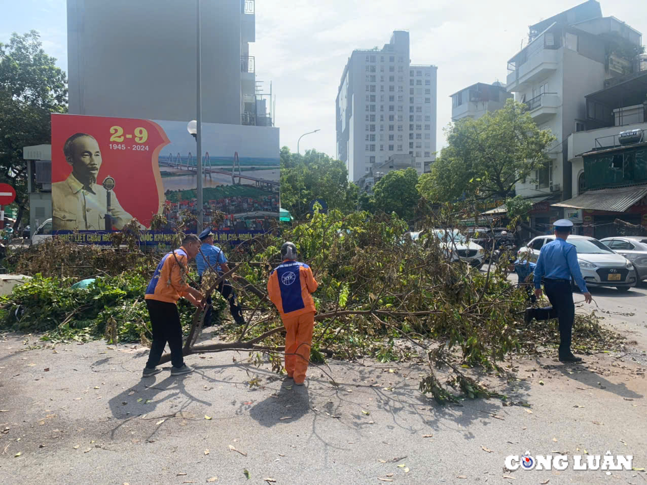 ha noi tap trung xu ly cay xanh gay do bao dam an toan giao thong hinh 1