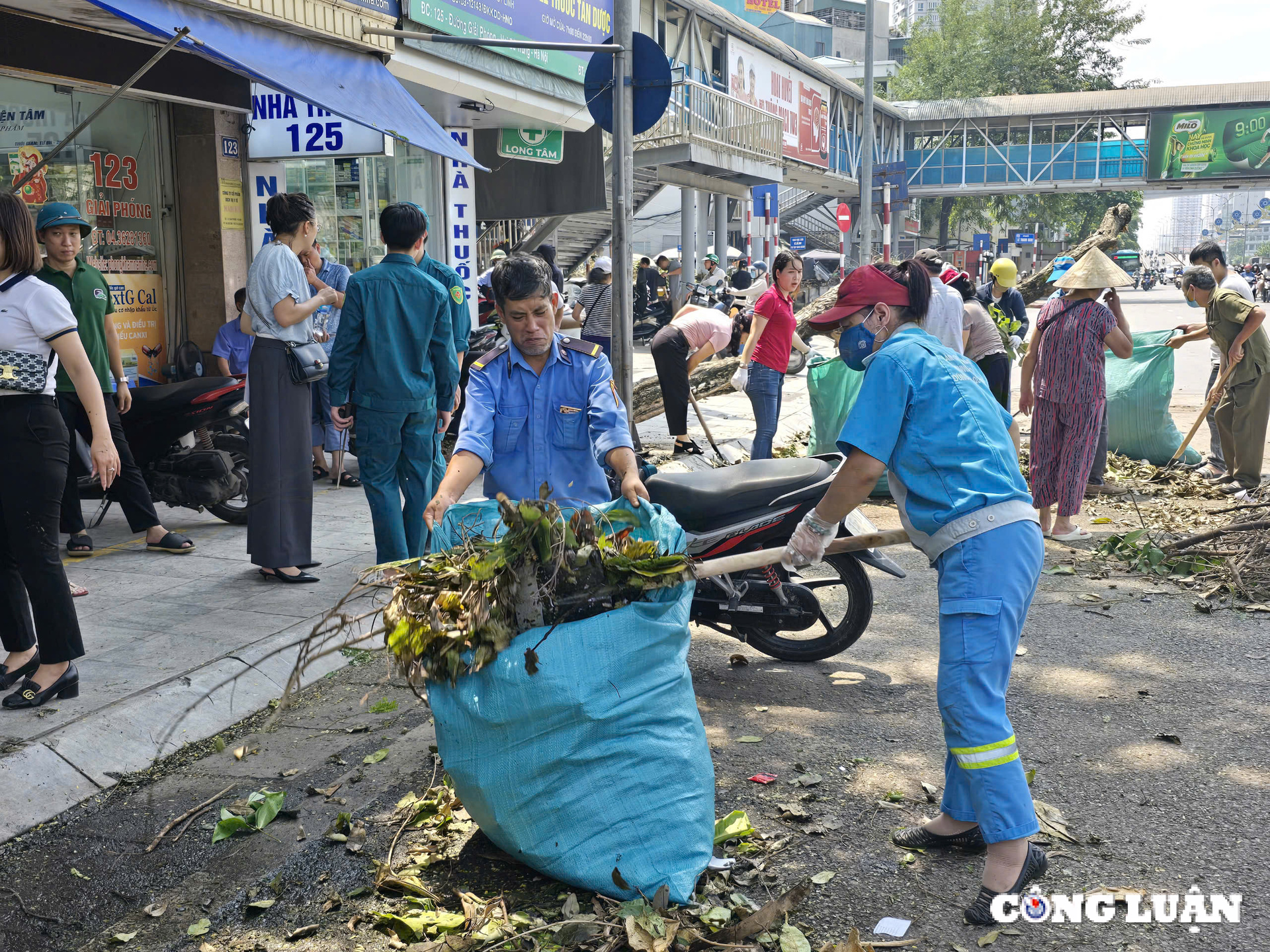 bi thu ha noi cung nguoi dan tong ve sinh moi truong sau bao so 3 hinh 7