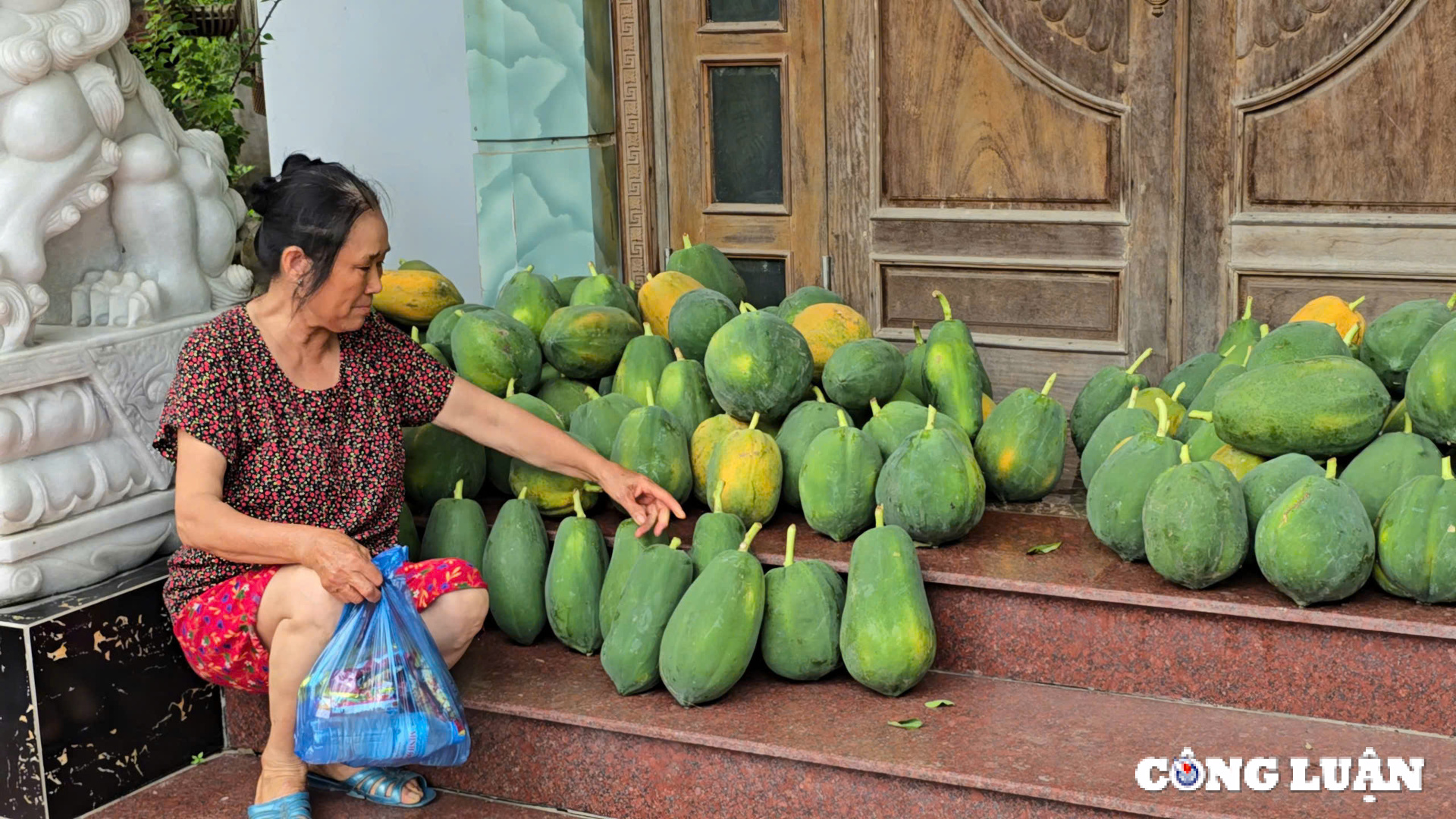 nhip song dang tro lai binh thuong o cac xa vung bai song hong hinh 12