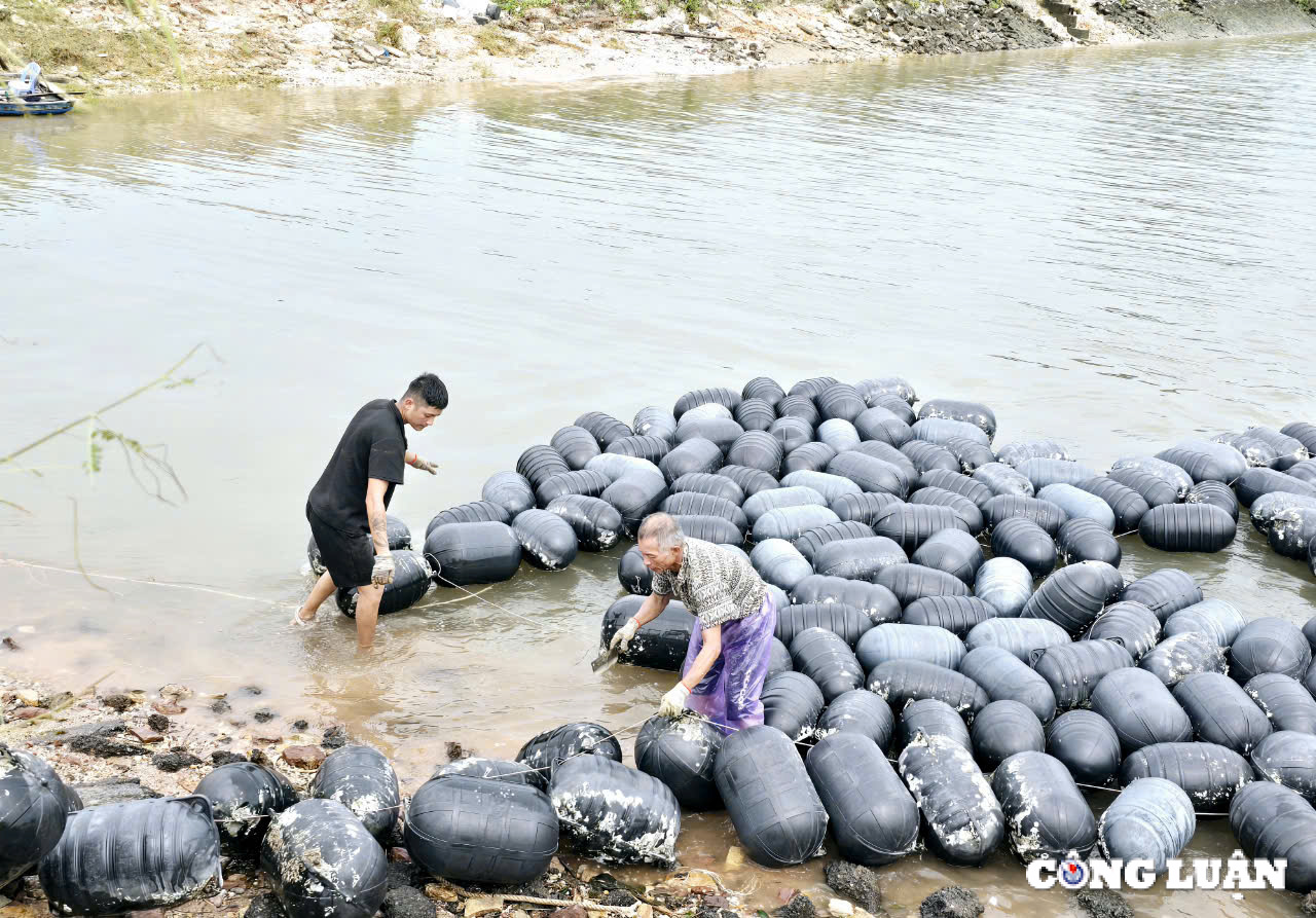 quang ninh dieu tra nghiem tri doi tuong thu gom phao nhua vat tu khong phai cua minh hinh 3