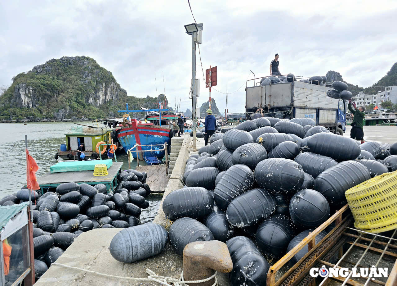 quang ninh dieu tra nghiem tri doi tuong thu gom phao nhua vat tu khong phai cua minh hinh 5