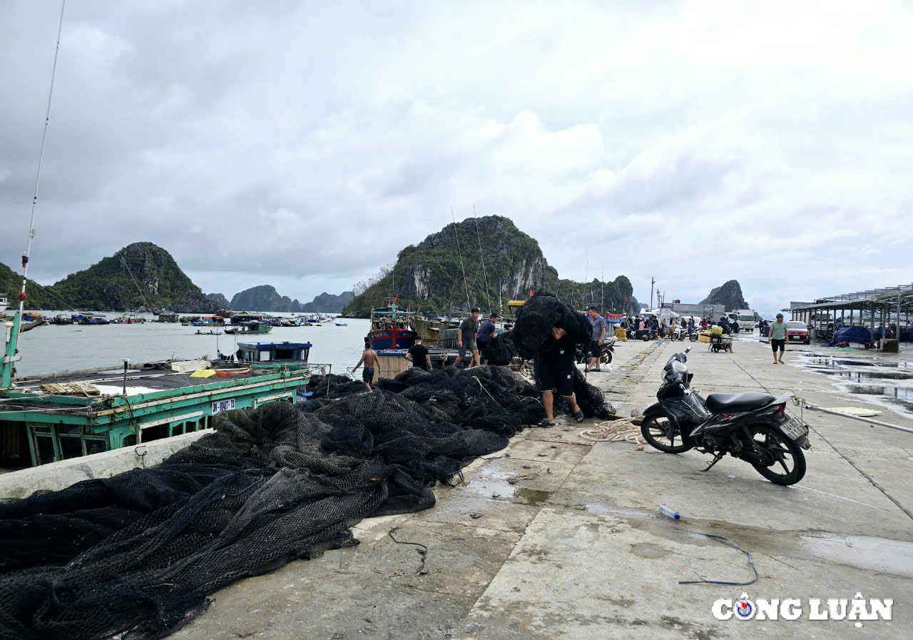 quang ninh dieu tra nghiem tri doi tuong thu gom phao nhua vat tu khong phai cua minh hinh 6