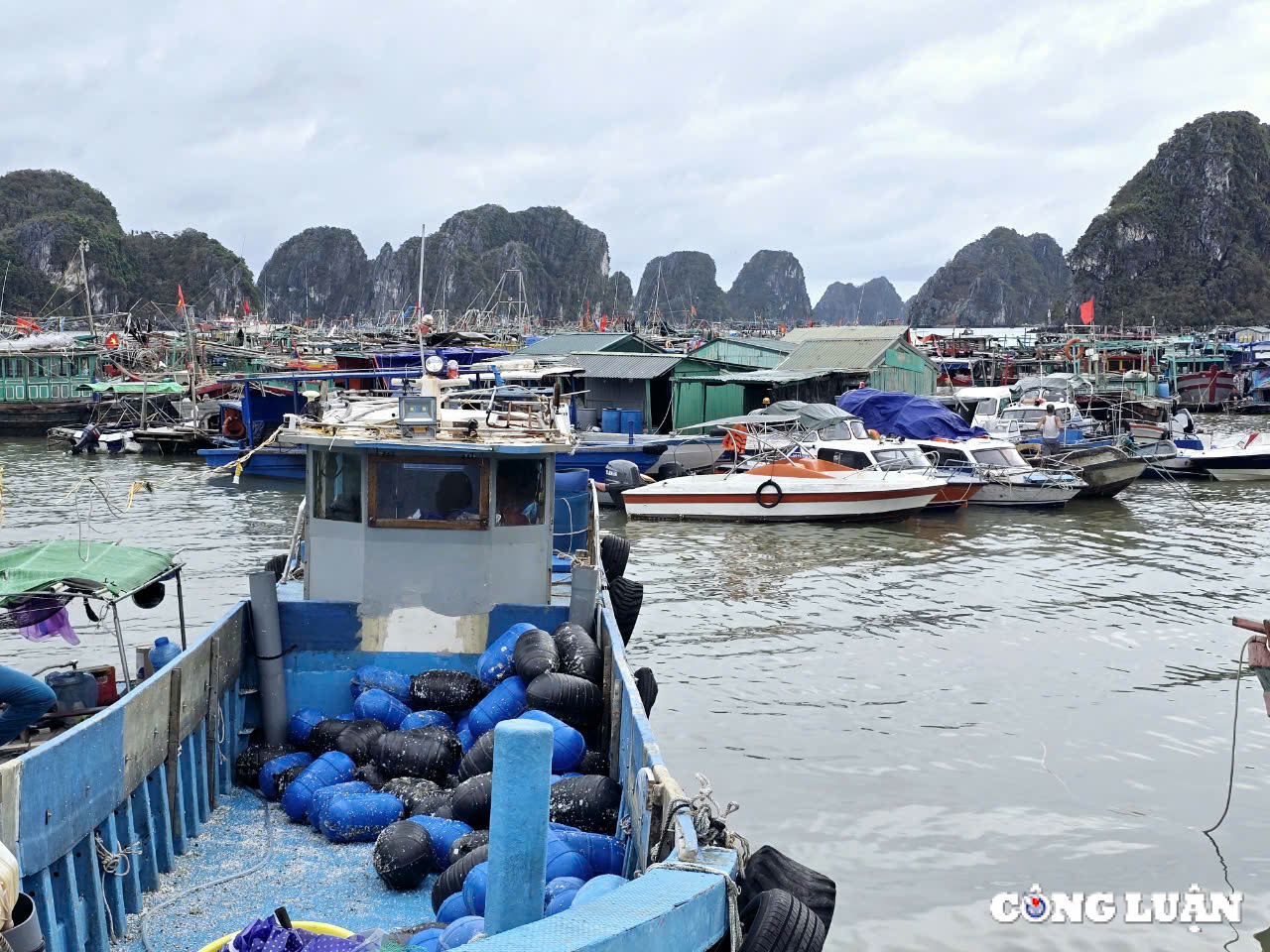 quang ninh dieu tra nghiem tri doi tuong thu gom phao nhua vat tu khong phai cua minh hinh 7