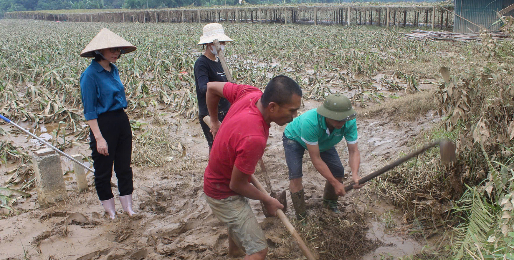 lao cai khan truong khoi phuc san xuat kinh doanh sau bao so 3 hinh 2