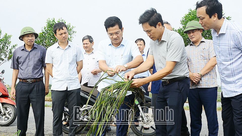 nam dinh huy dong moi luc luong de tieu ung cuu lua giam thieu thiet hai o muc thap nhat hinh 1