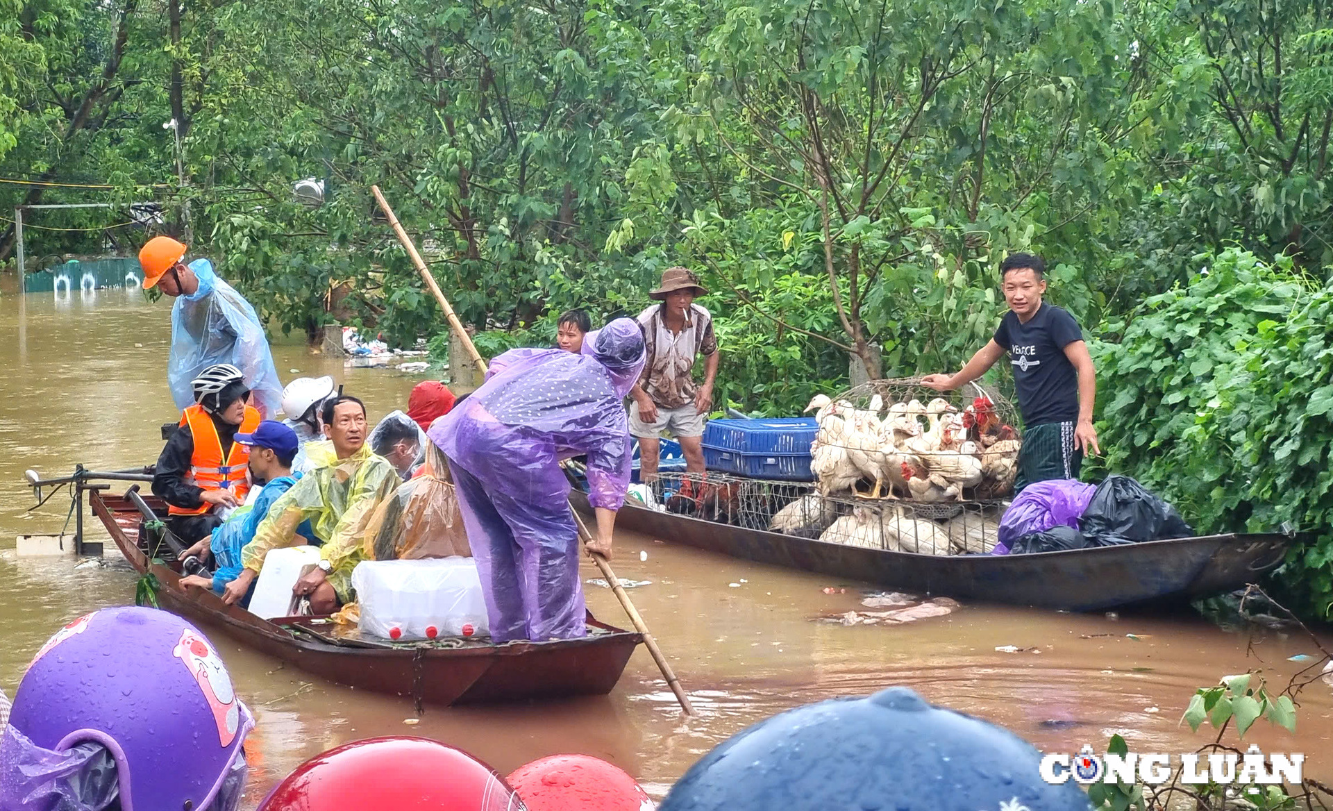 xu ly moi truong sau bao ngan chan nguon gay benh de tranh dich chong dich hinh 1