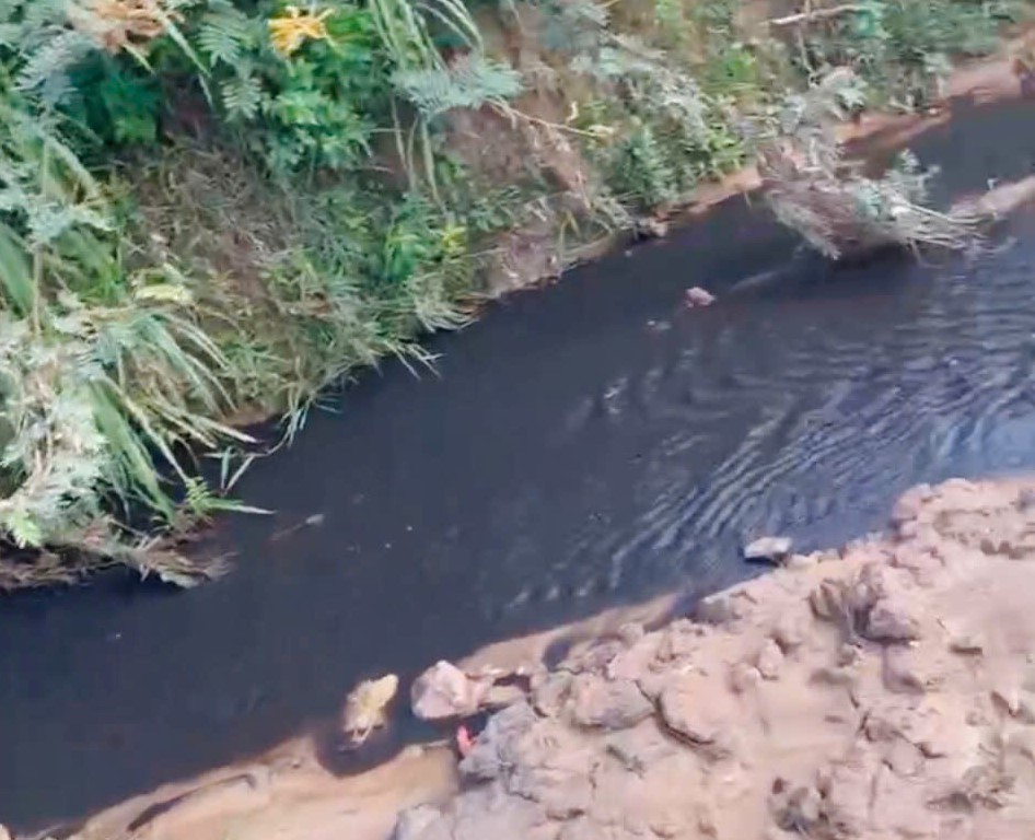 kon tum doanh nghiep nuoi heo ngang nhien lap ong nhua de xa nuoc thai ra suoi hinh 2