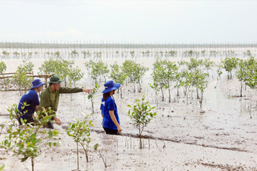 vinamilk tich cuc thuc hien du an cach rung netzero huong den trung hoa khi nha kinh hinh 3