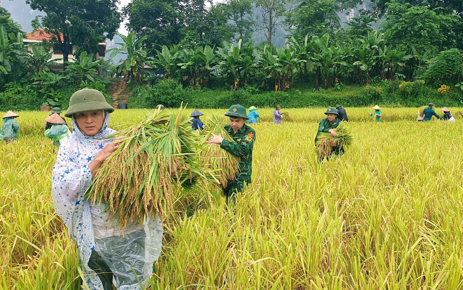 chung suc phong chong va giam thieu thiet hai do thien tai bao lu hinh 7