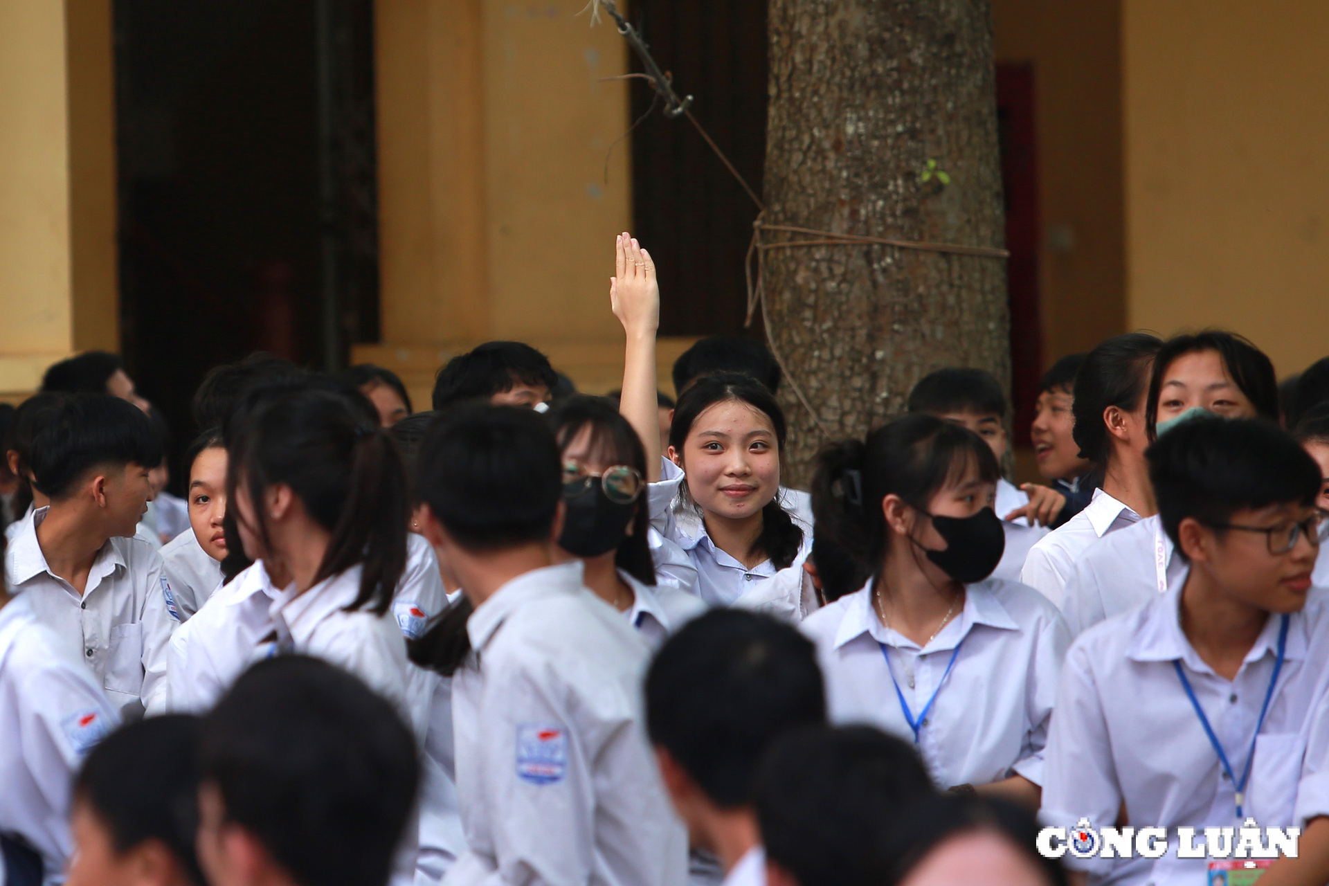 tu van huong nghiep gioi thieu viec lam som cho cac em hoc sinh khoi 12 hinh 4