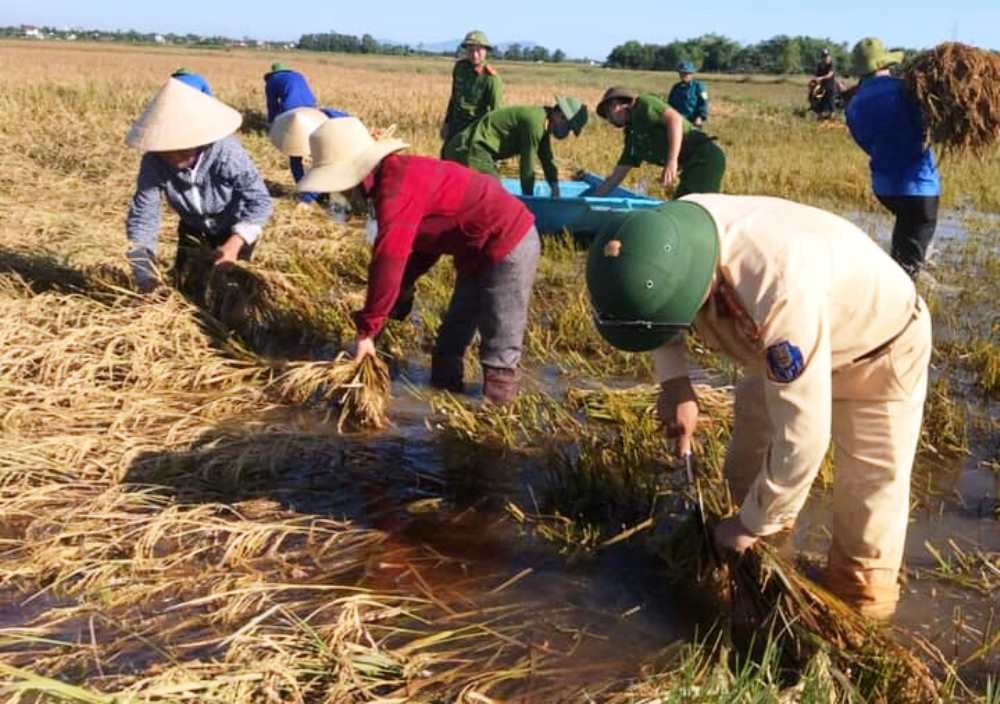 thu tuong pham minh chinh yeu cau nhanh chong phuc hoi san xuat nong nghiep sau bao so 3 va mua lu hinh 1