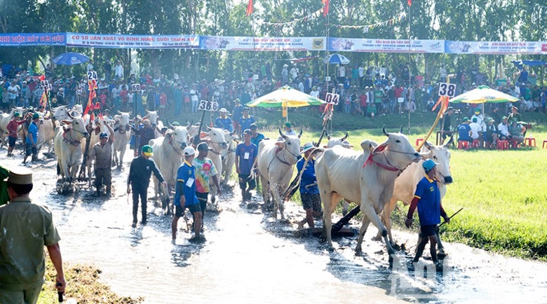 tung bung le hoi dua bo bay nui 2024 hinh 1