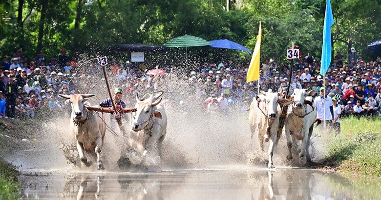 tung bung le hoi dua bo bay nui 2024 hinh 2