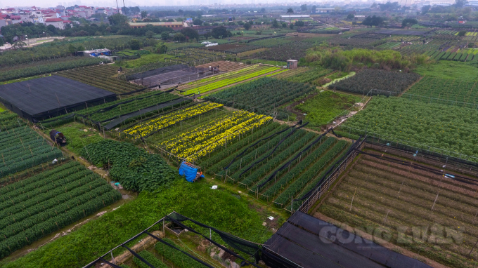 thanh lap khu cong nghe cao sinh hoc ha noi gan 200ha hinh 1