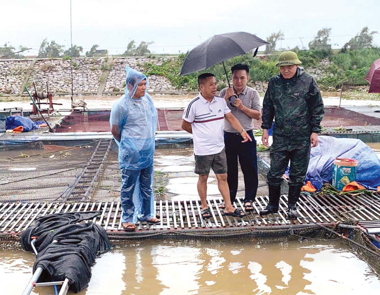 bac ninh khan truong thuc hien cac giai phap khoi phuc san xuat chan nuoi thuy san sau bao hinh 1