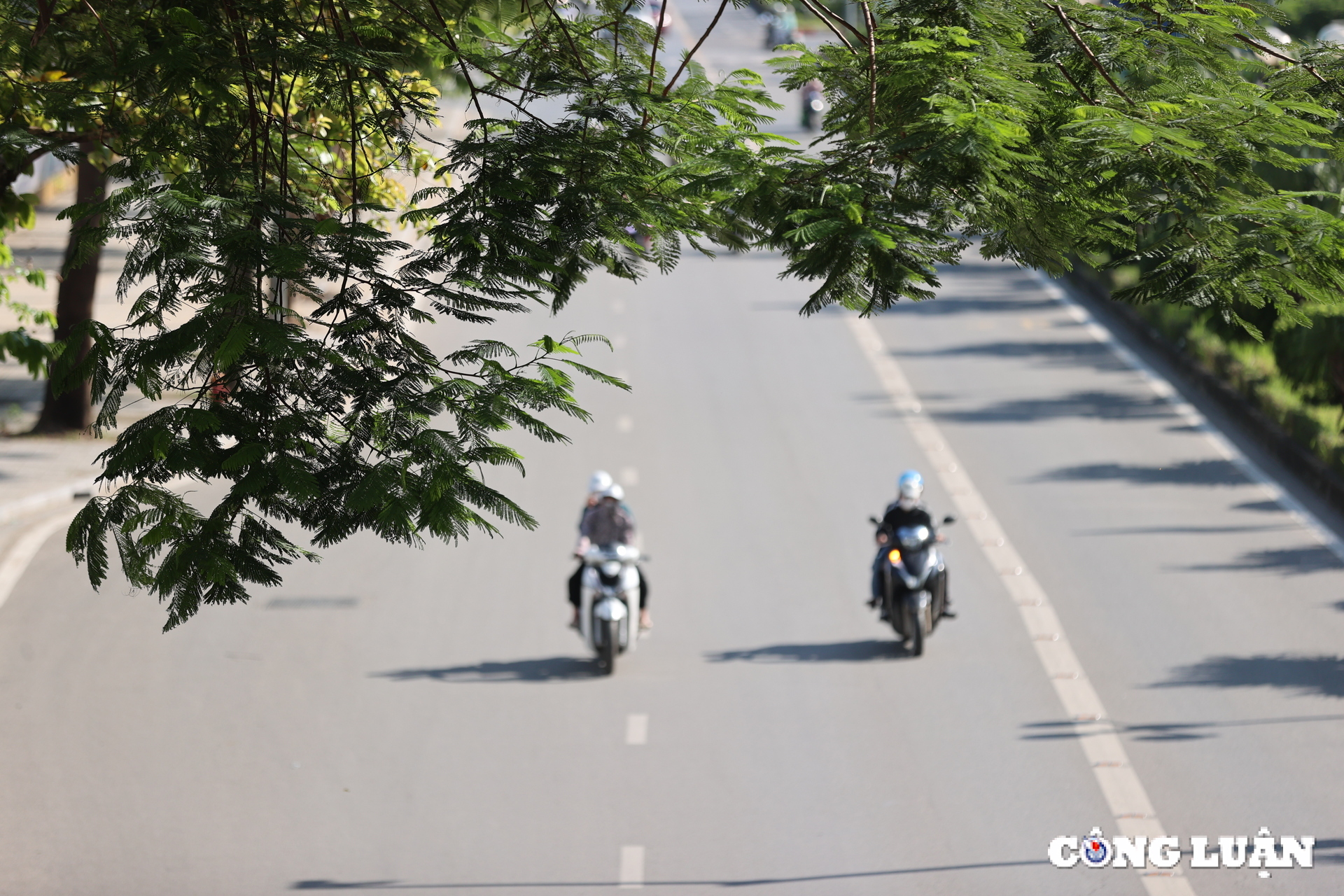 ha noi chuan bi le ky niem ngay giai phong trong tiet thu mat diu hinh 1