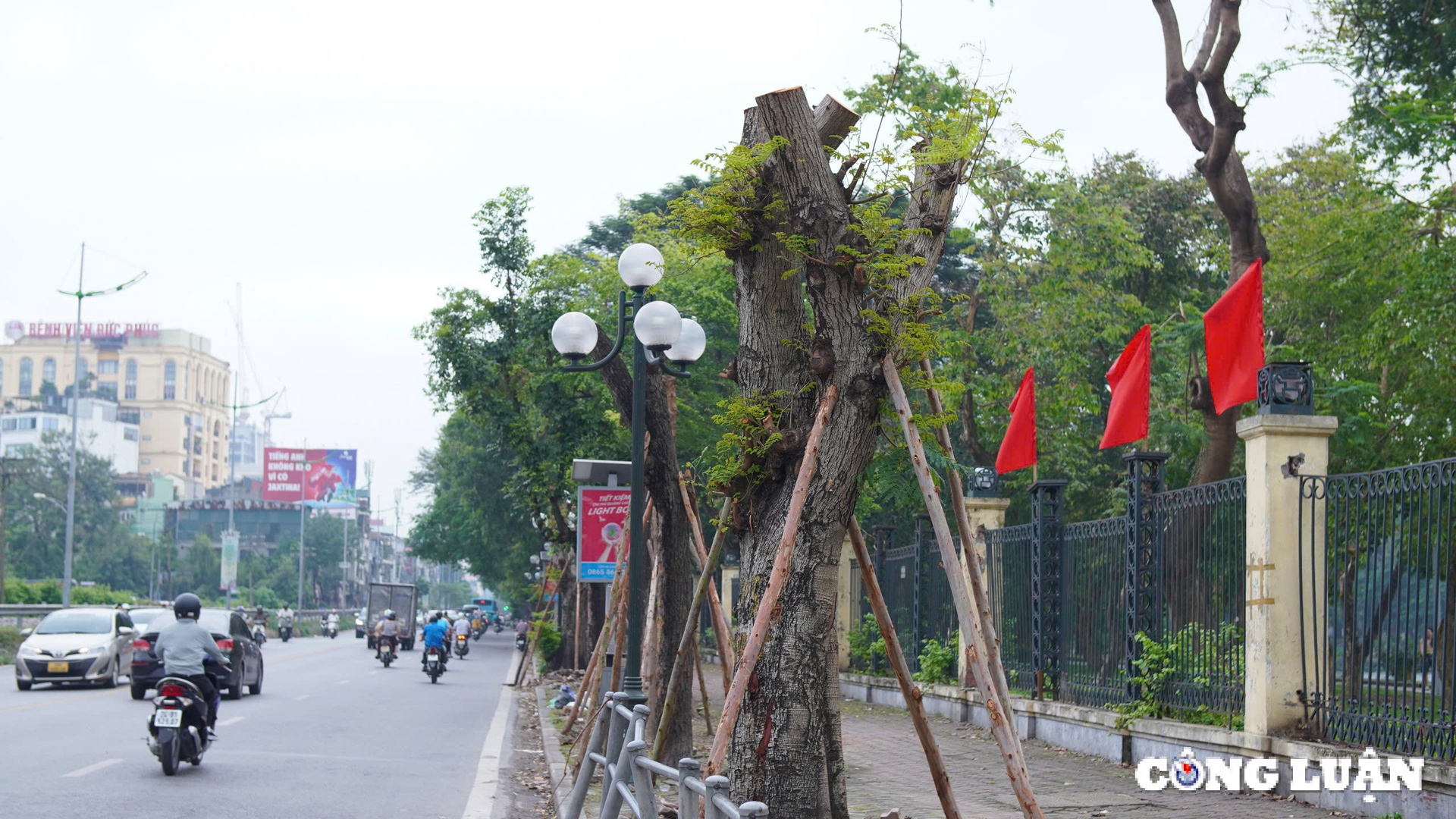 ha noi da giai toa duoc 98 cay xanh gay do sau bao yagi hinh 1