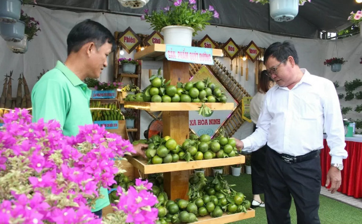 da nang gioi thieu san pham dac trung cua nong dan hoa vang hinh 1