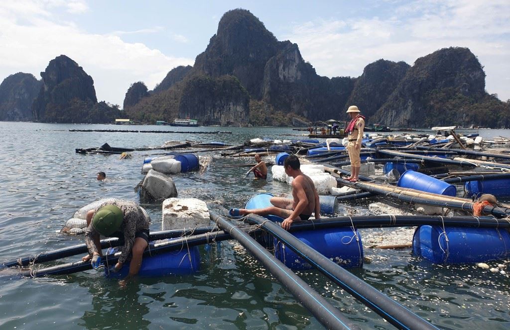 vi sao viet nam bi anh huong bao lu lon nhung tang truong van cao hinh 2