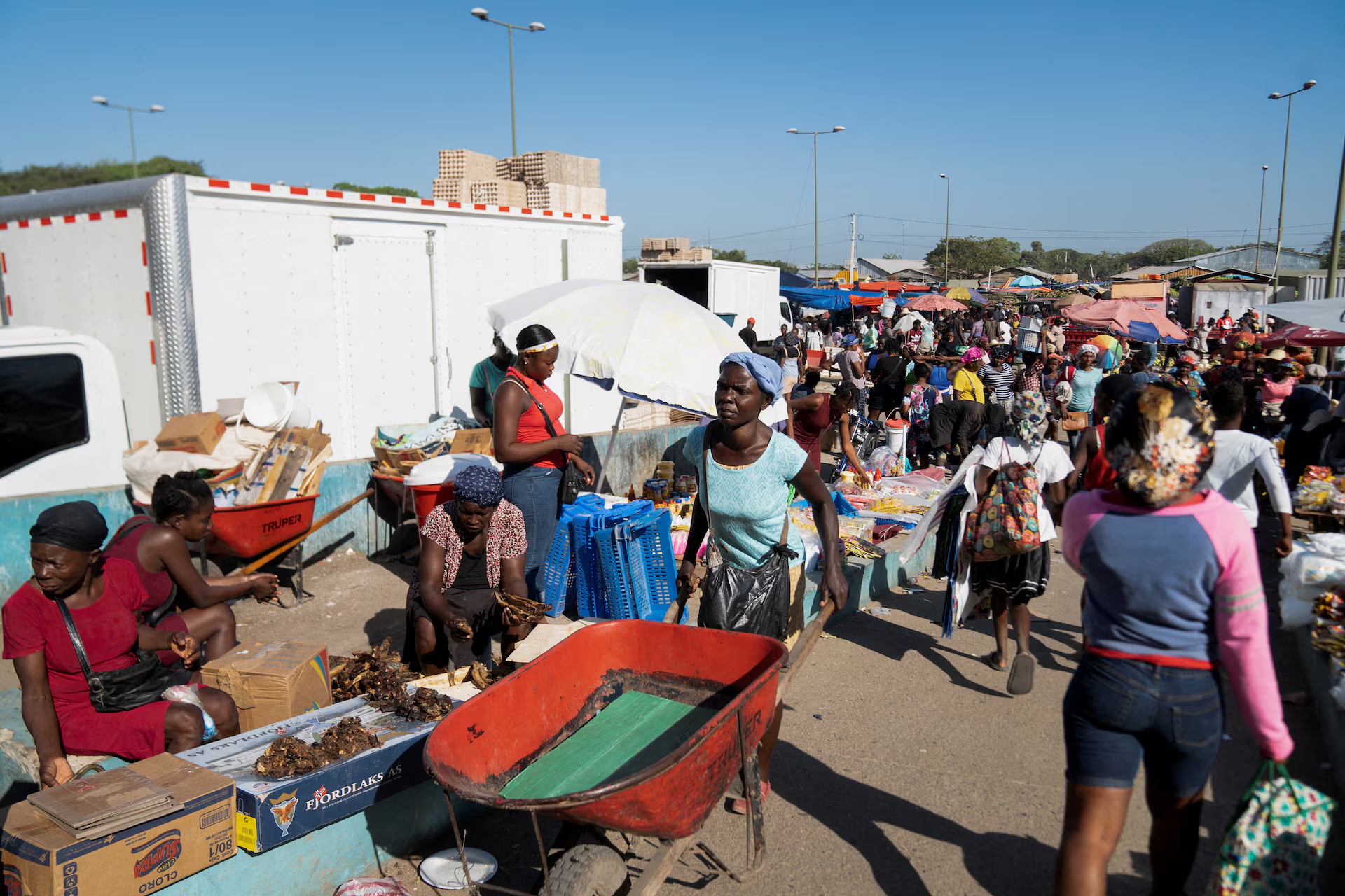 haiti chi trich dominica len ke hoach truc xuat 10000 nguoi di cu hinh 1