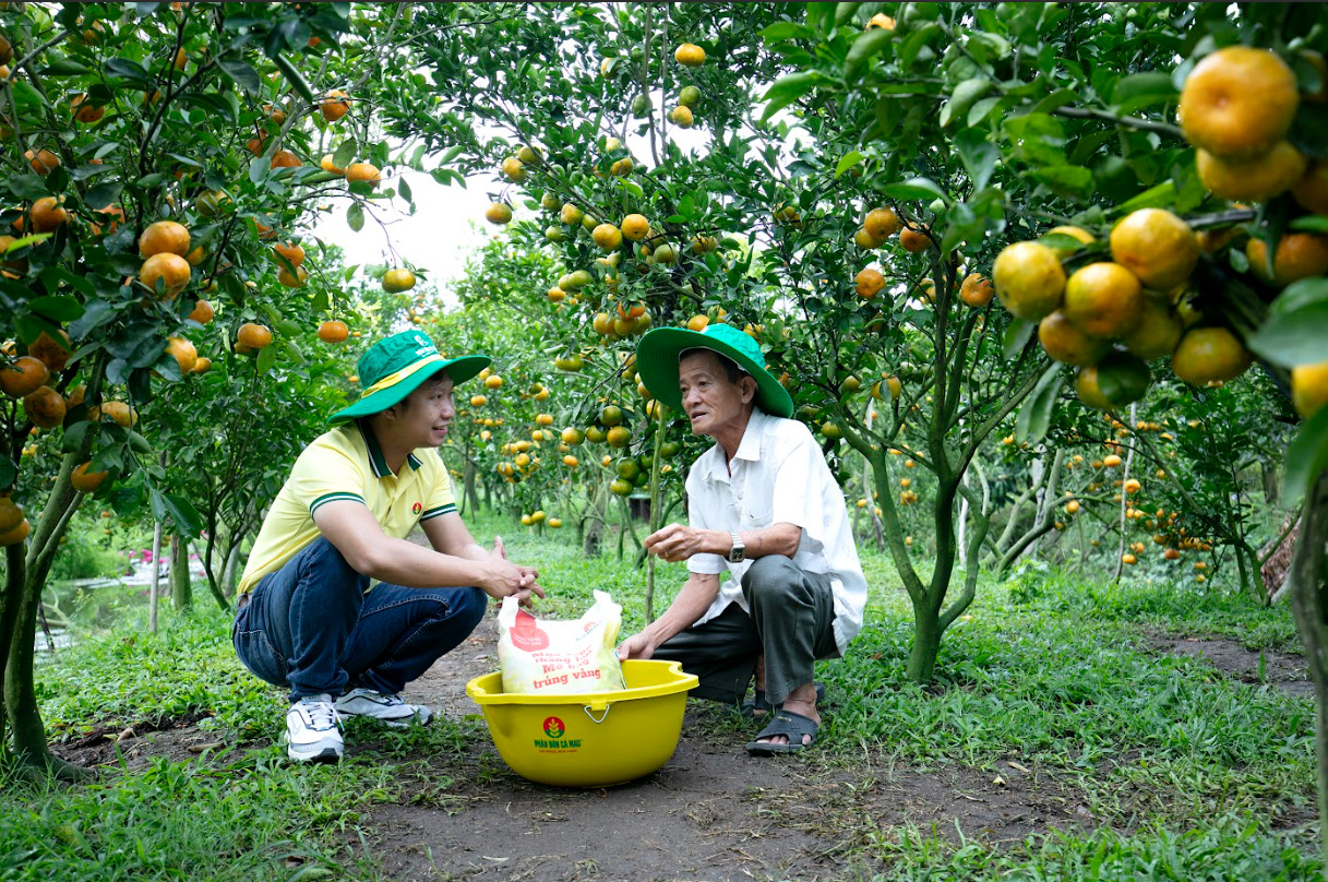 phan bon ca mau ky thuat trao tay vuot kho khan ngay hinh 4