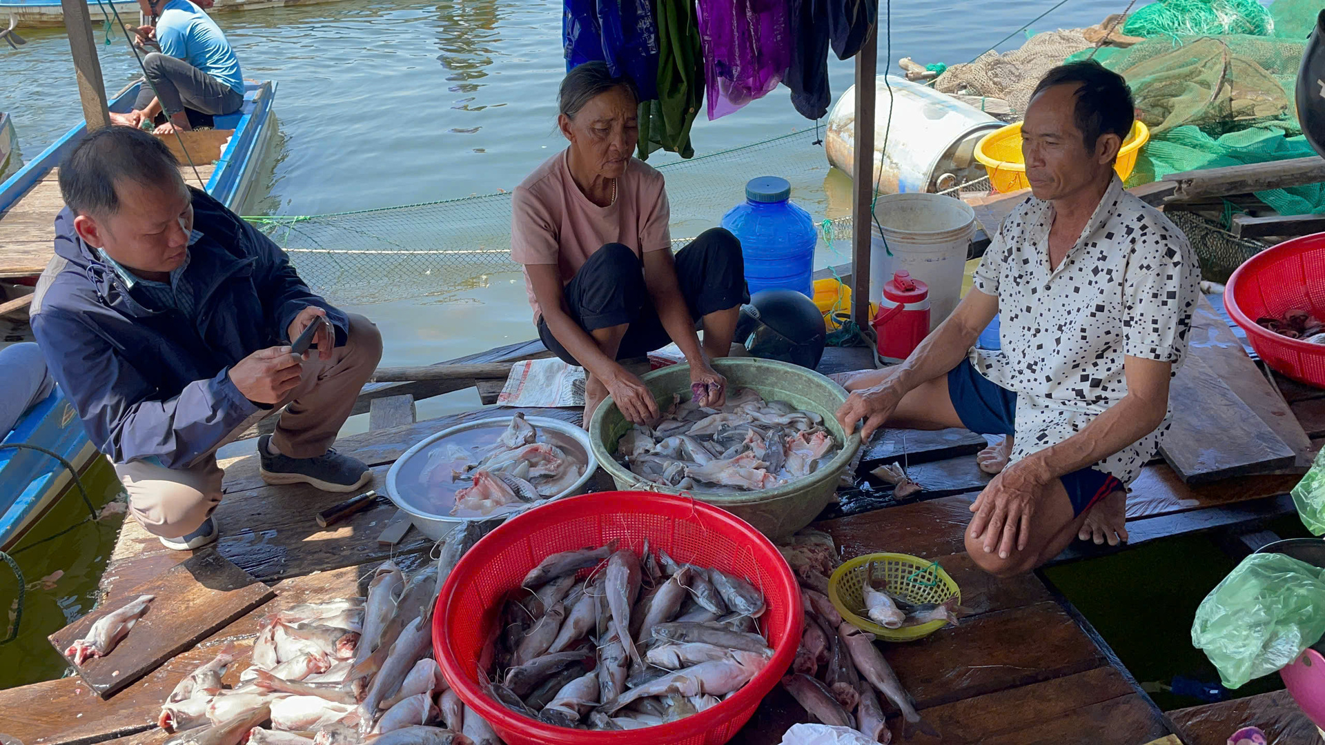 gia lai nong dan khoc rong vi ca chet hang loat thiet hai hang tram trieu dong hinh 4