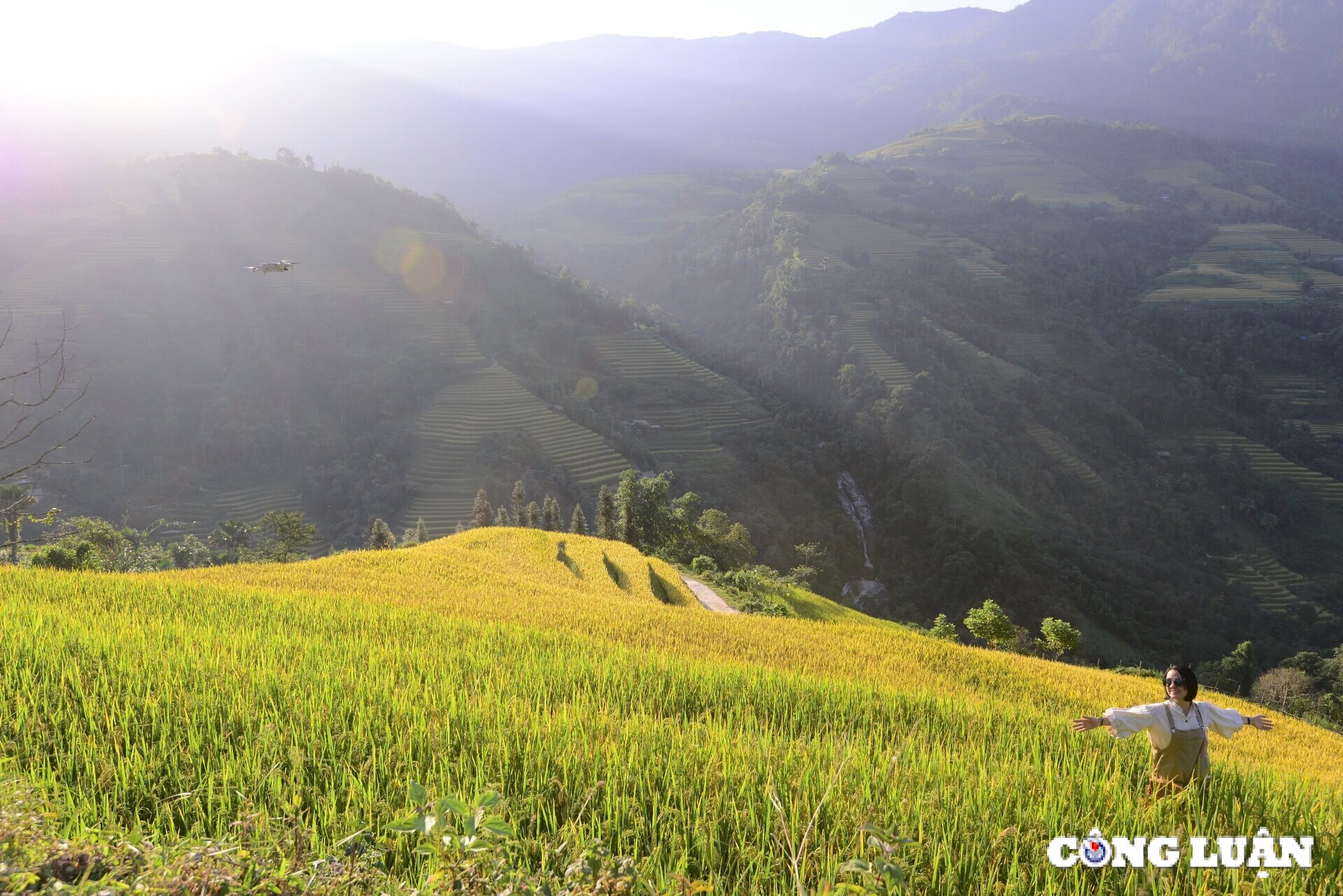 me dam thu vang tren nhung thua ruong bac thang o xa phin tinh ha giang hinh 11