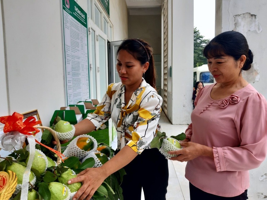 chung nhan ocop nang tam thuong hieu oi di trach hinh 2