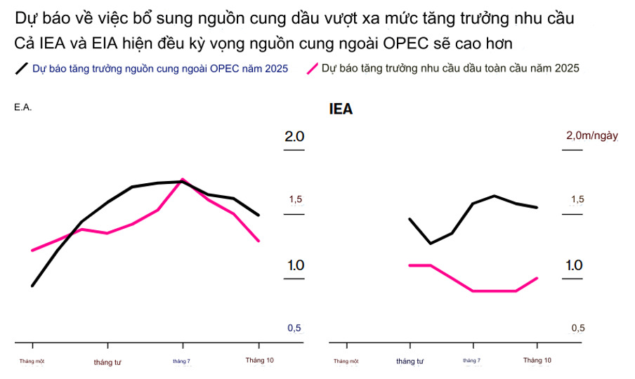 tai sao cac nha giao dich dau mo tro nen bi quan ve nam 2025 hinh 1