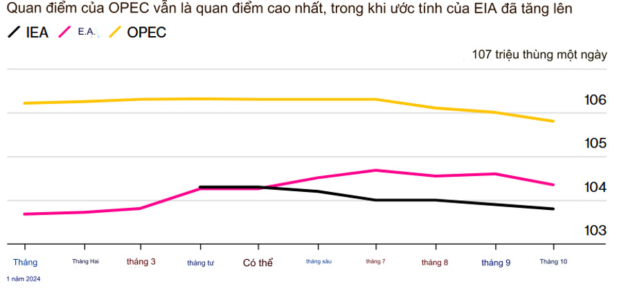 tai sao cac nha giao dich dau mo tro nen bi quan ve nam 2025 hinh 2