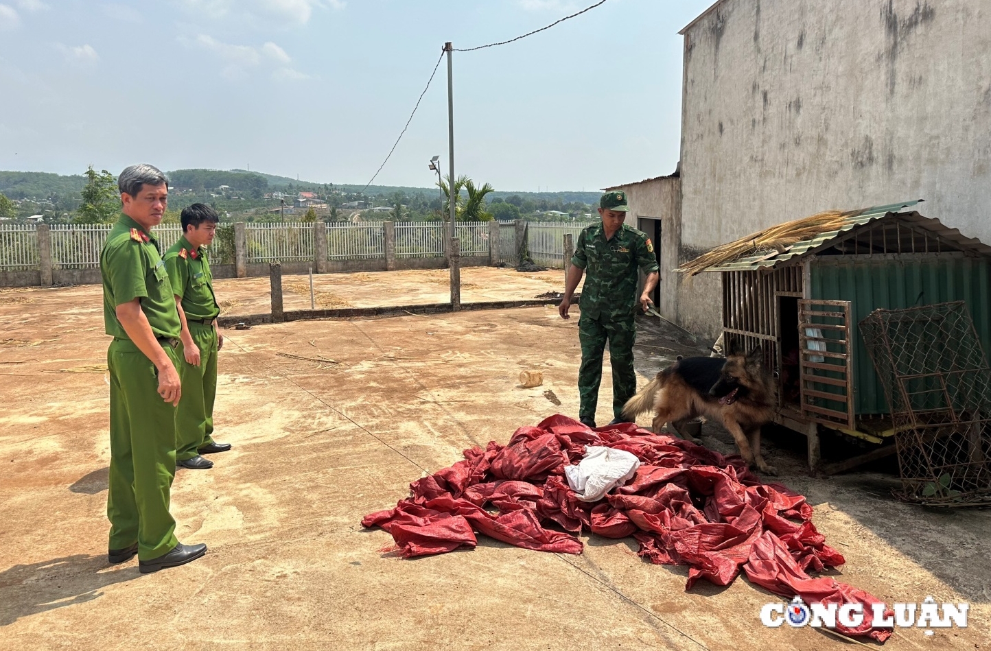 ky 2 danh an ma tuy o nga ba dong duong hinh 1