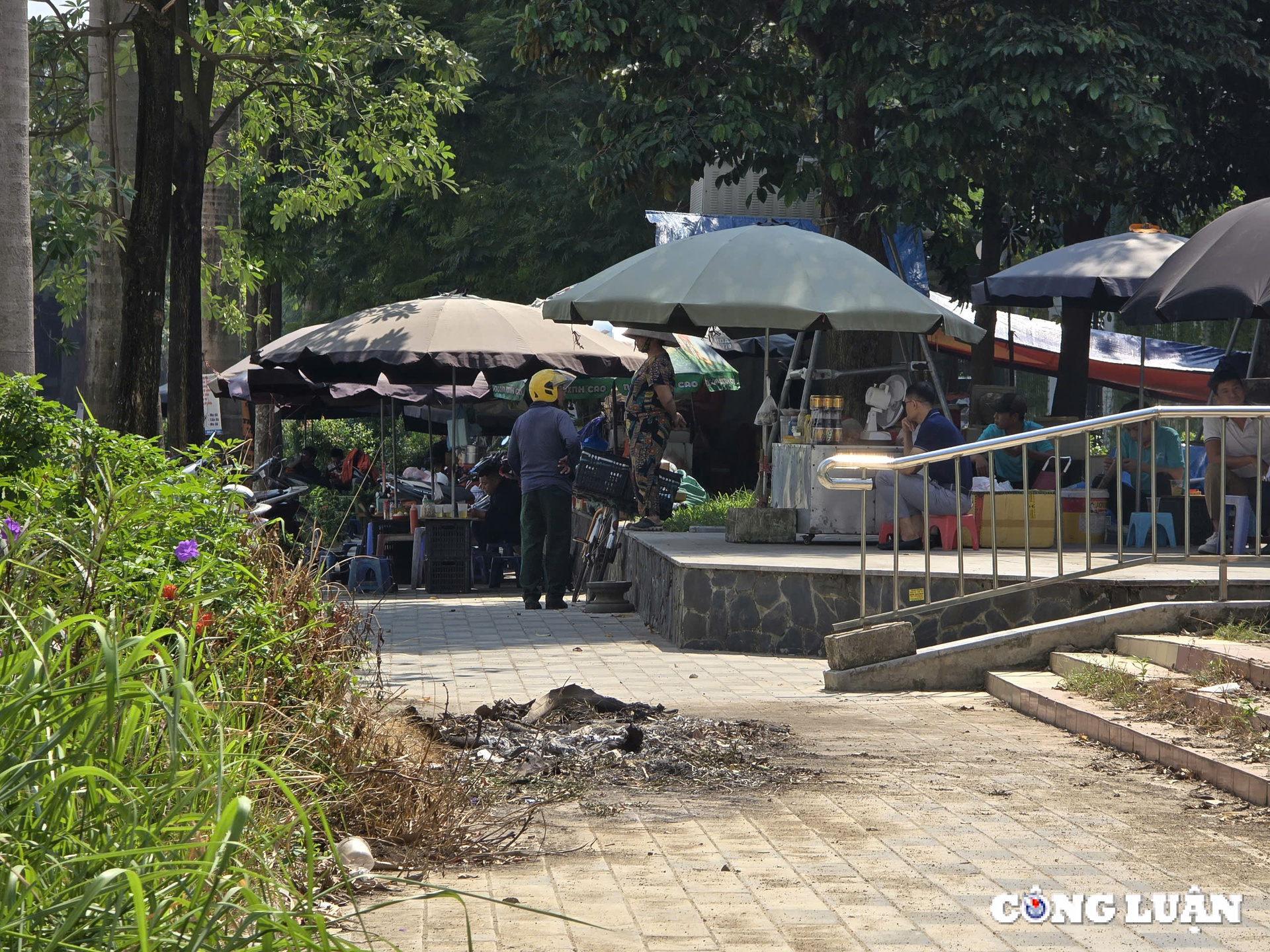 dat cay xanh va via he bi lan chiem de lam hang quan lam xau bo mat quan trung tam ha noi hinh 12