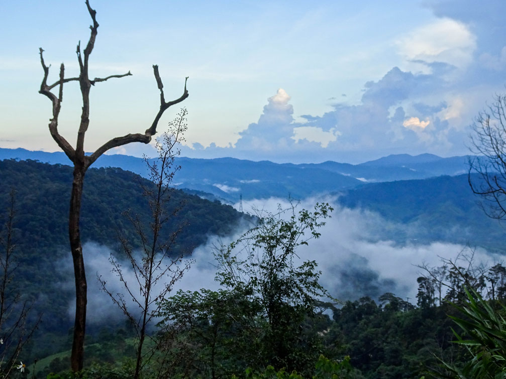 khu du lich mang den se la diem den hap dan mang tam co quoc gia hinh 2