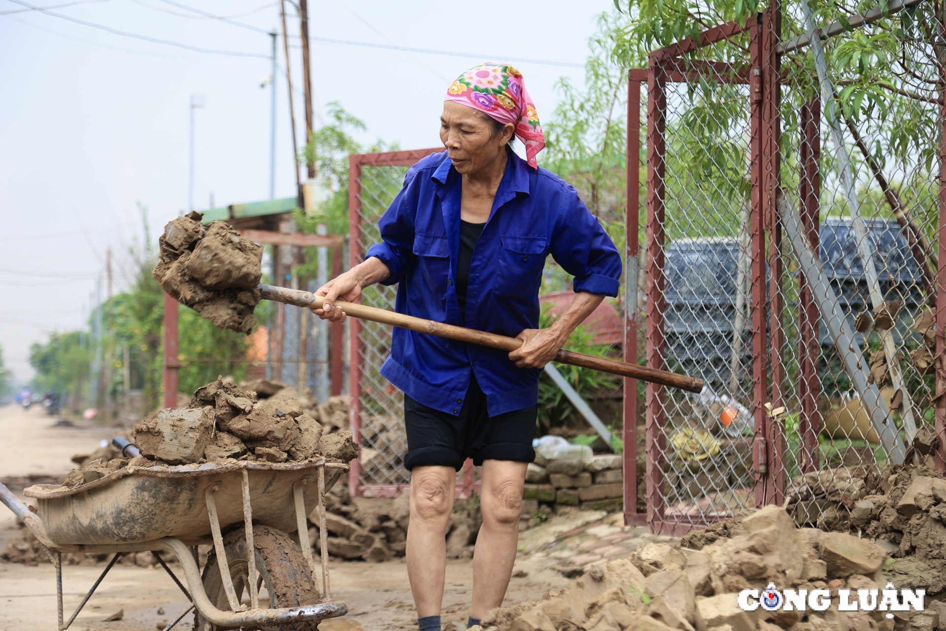 nguoi dan nhat tan no luc hoi sinh vuon dao tet sau anh huong cua bao so 3 hinh 5