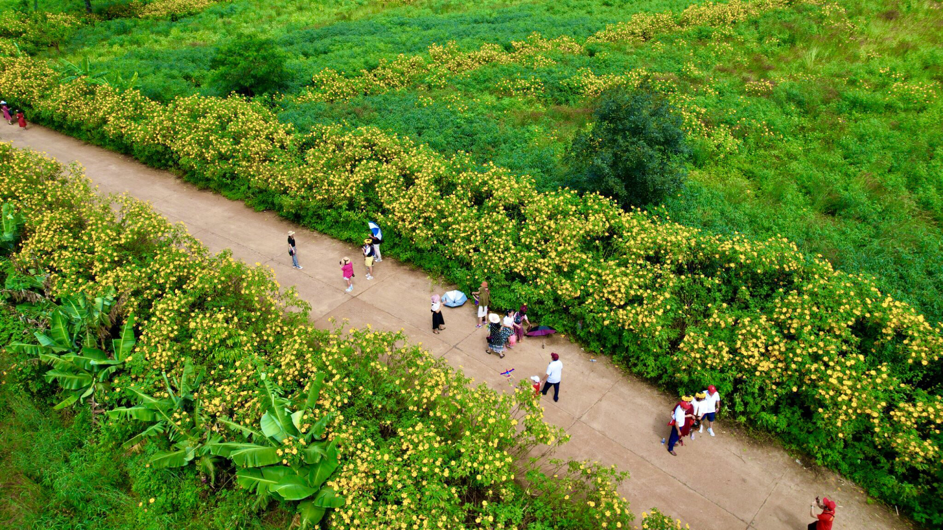 gan 7000 van dong vien se hoi tu o giai chay gia lai city trail 2024 giac mo dai ngan hinh 3