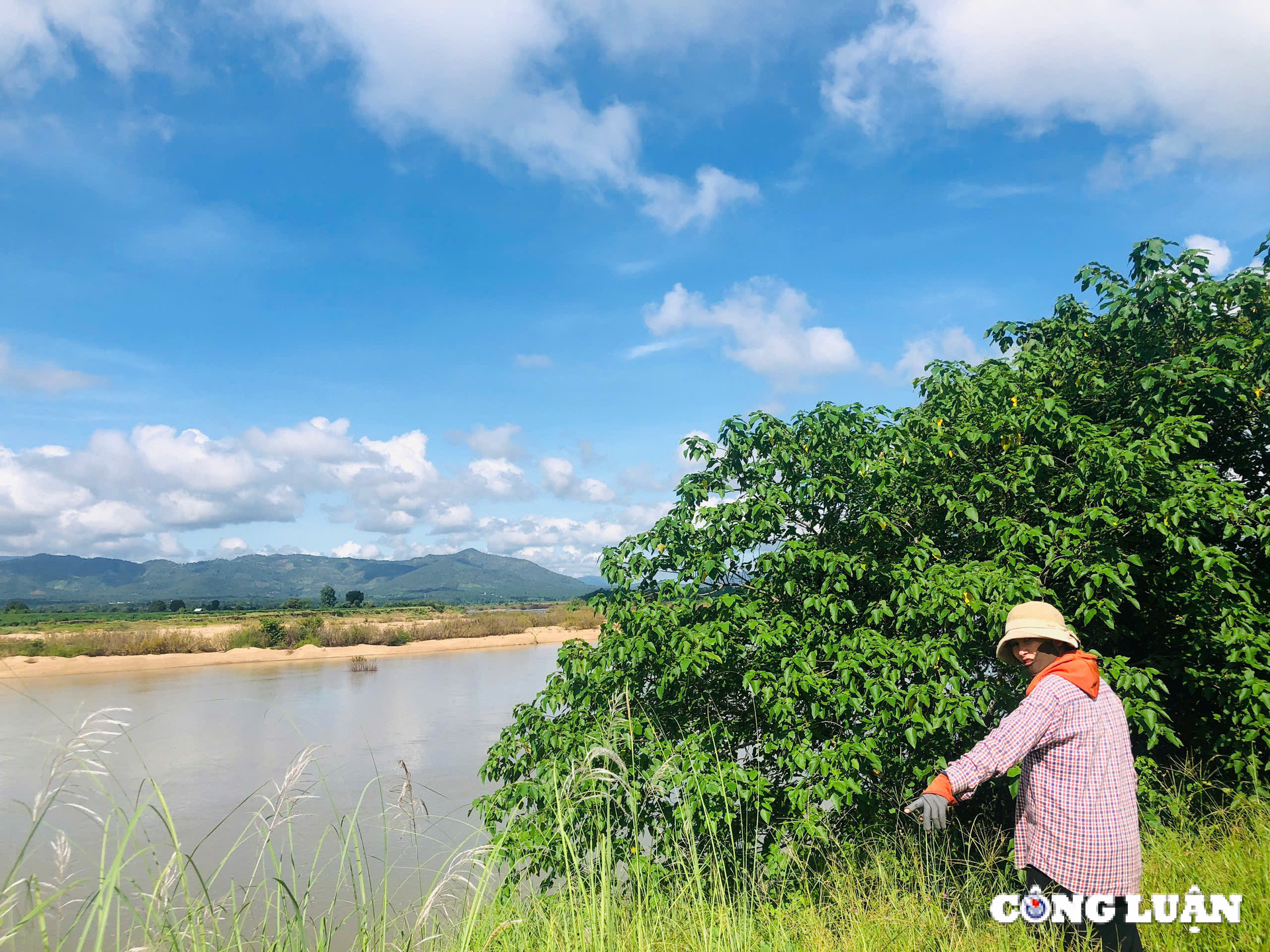 gia lai sat lo bo song ba uy hiep tinh mang va tai san cua hang tram ho dan hinh 2