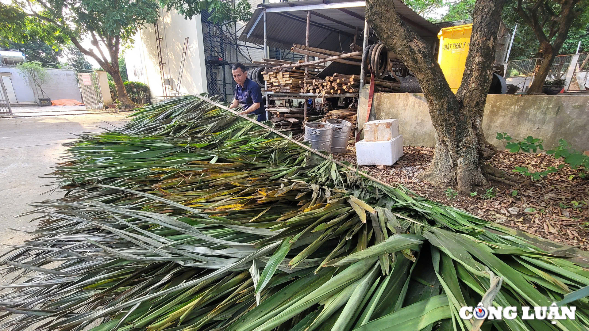 ha noi tao lap moi truong hanh phuc cho dong vat hoang da hinh 1