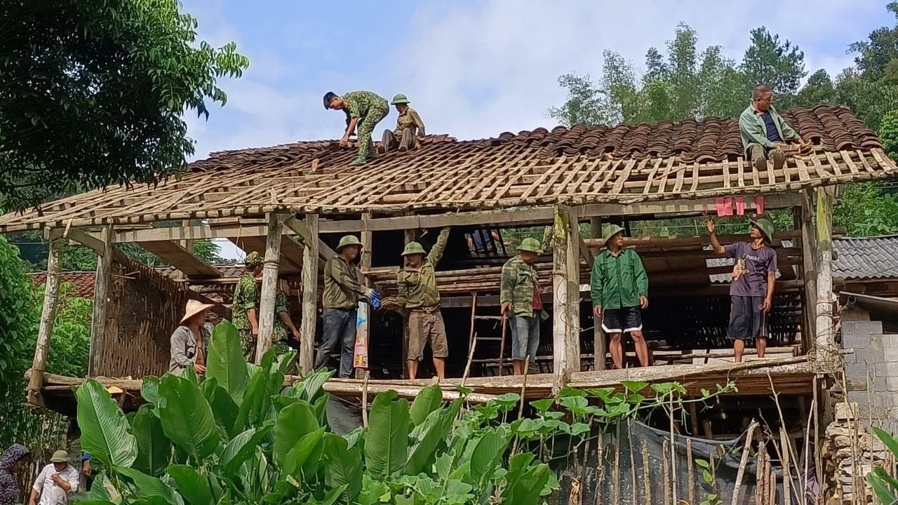 thanh lap ban chi dao trung uong trien khai xoa nha tam nha dot nat tren pham vi ca nuoc hinh 1