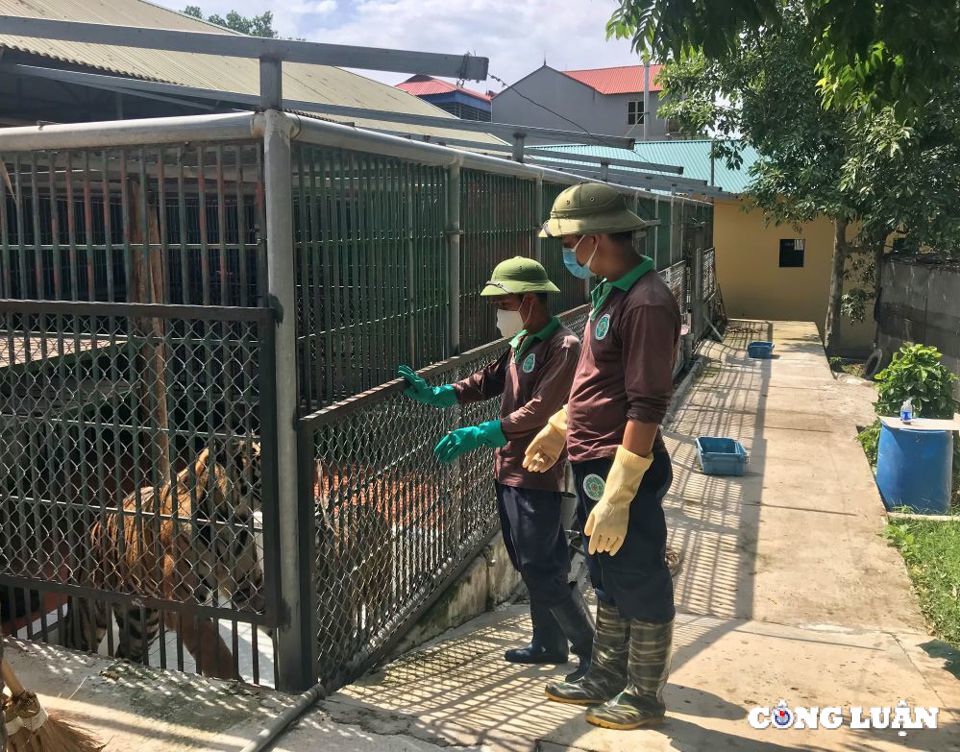 ha noi tao lap moi truong hanh phuc cho dong vat hoang da hinh 3