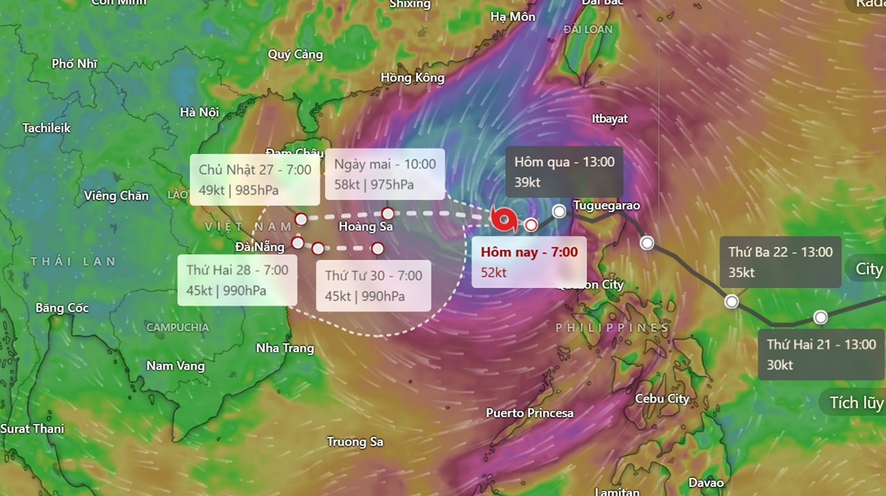 huong dan theo doi duong di cua bao tra mi tren dien thoai hinh 1