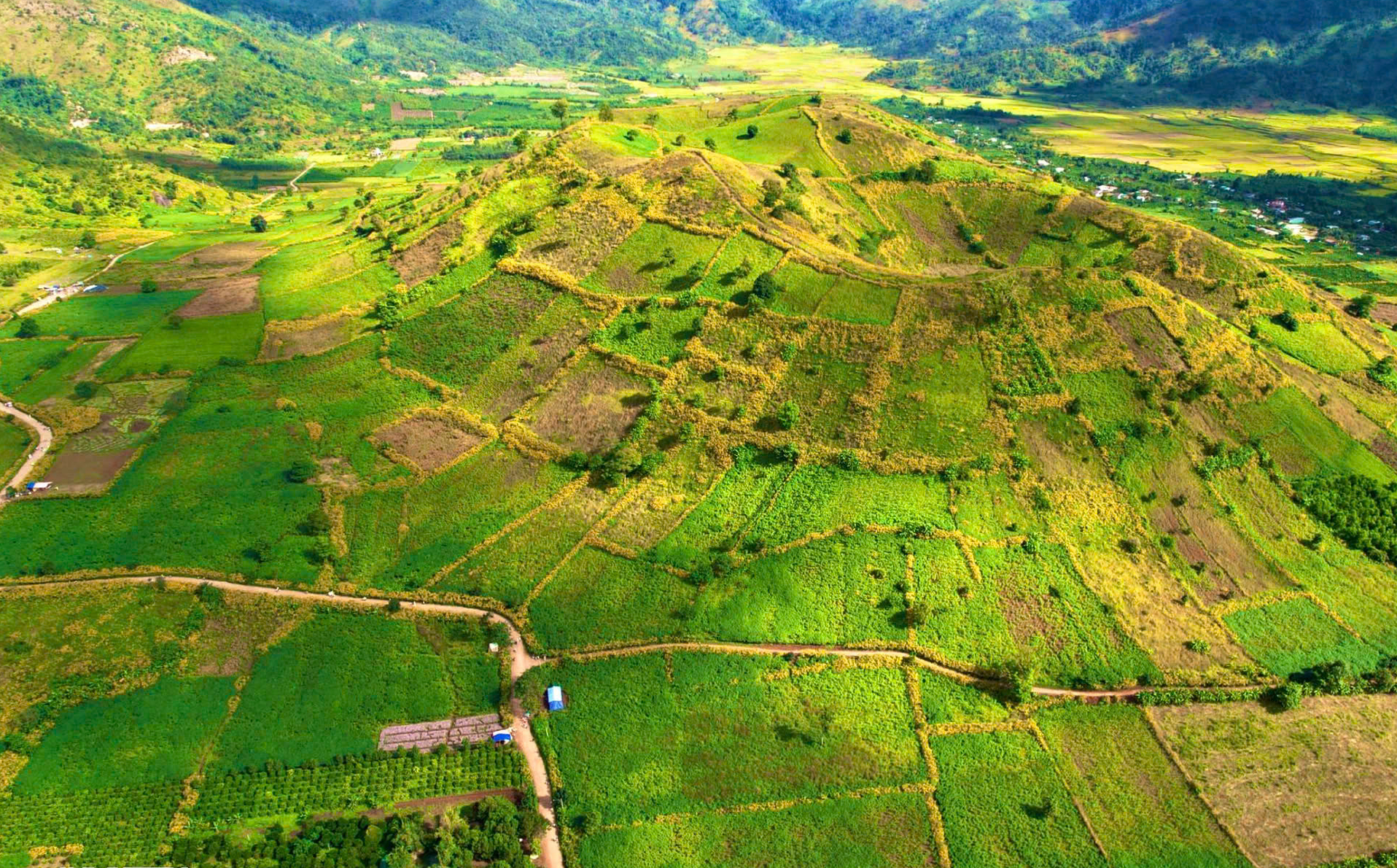 gia lai de nghi tang chuyen bay tuan le hoa da quy  nui lua chu dang ya nam 2024 hinh 1